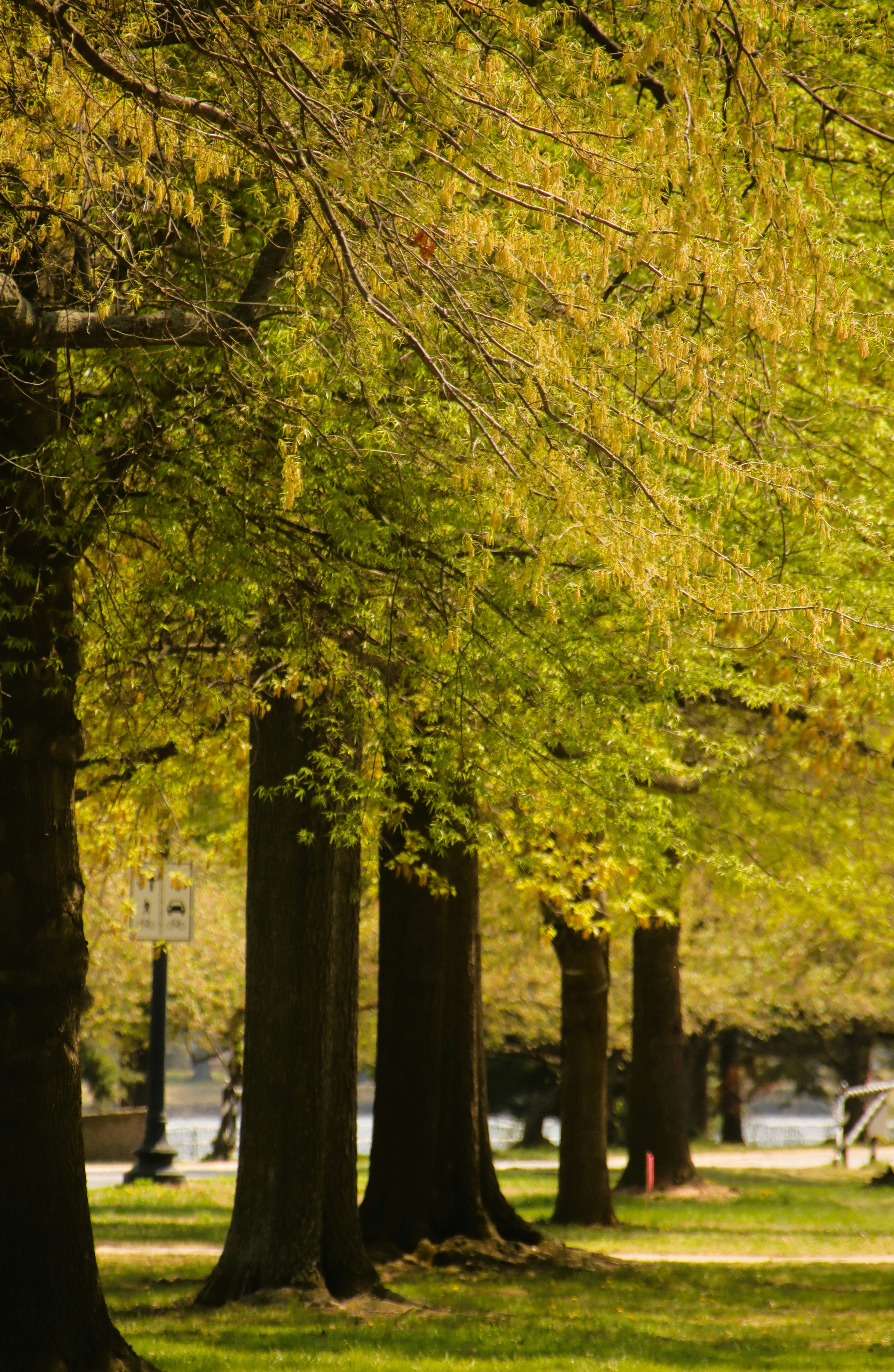 Photo by akshatjisme