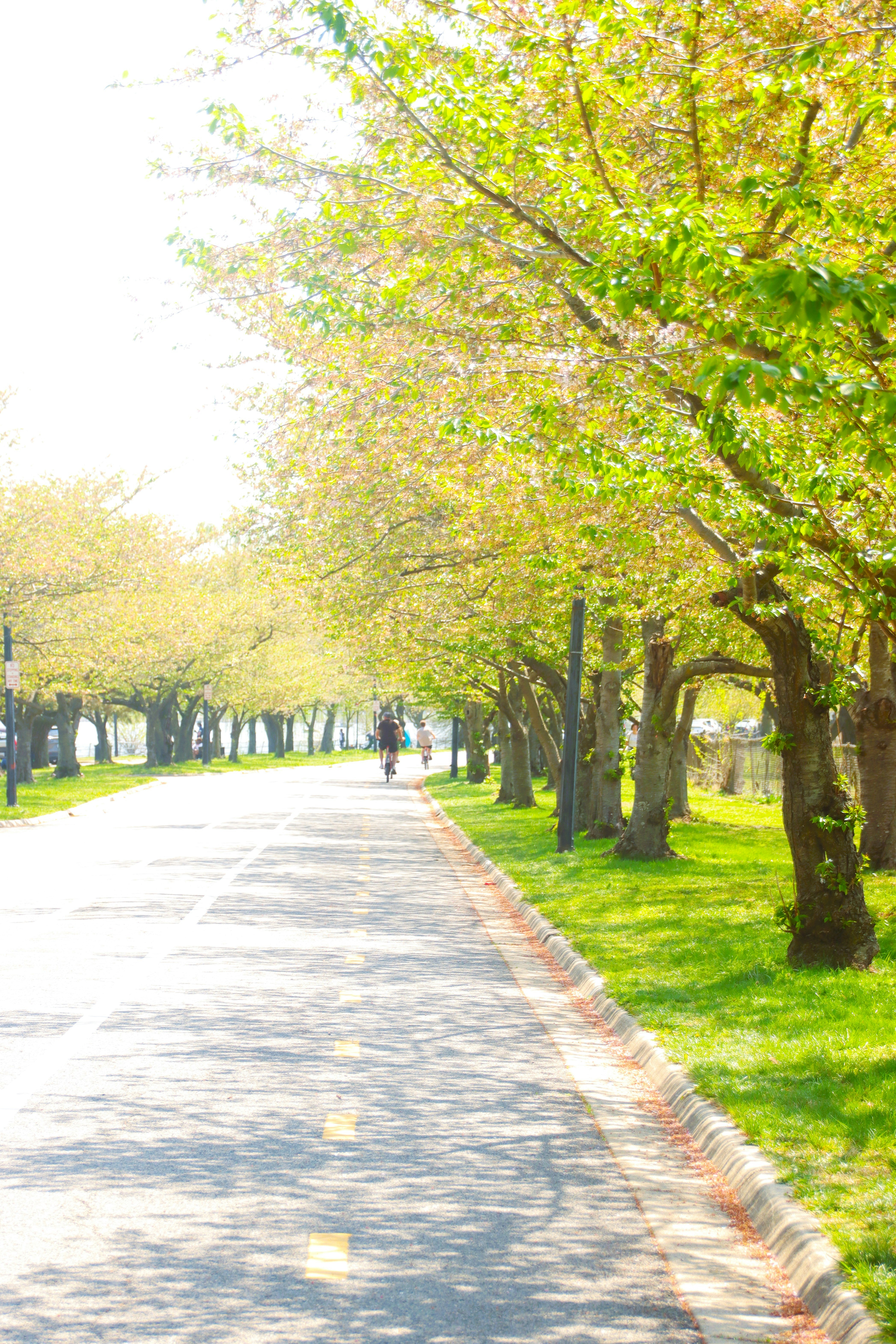 Photo by akshatjisme