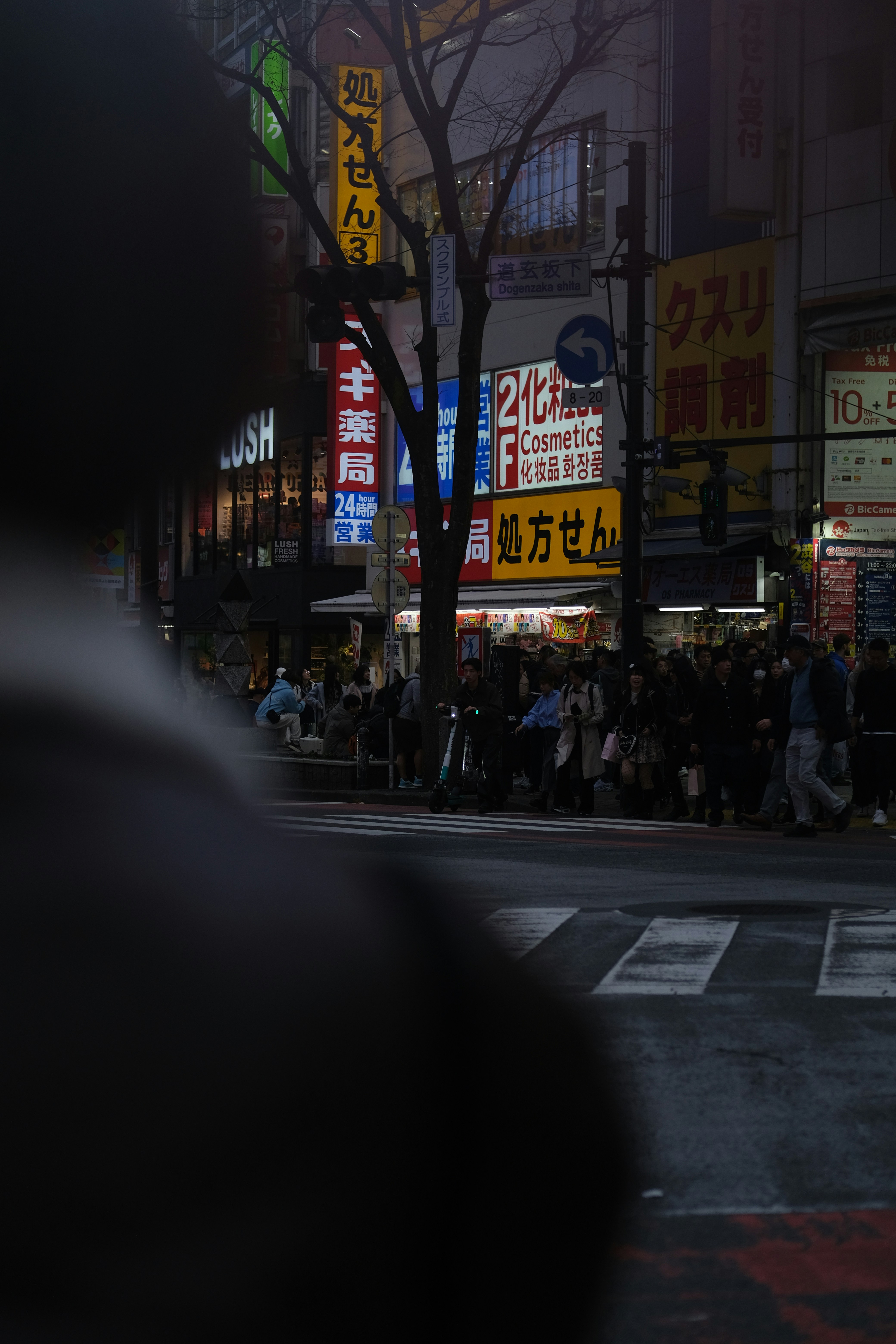 Photo by sara_thaundrdawg