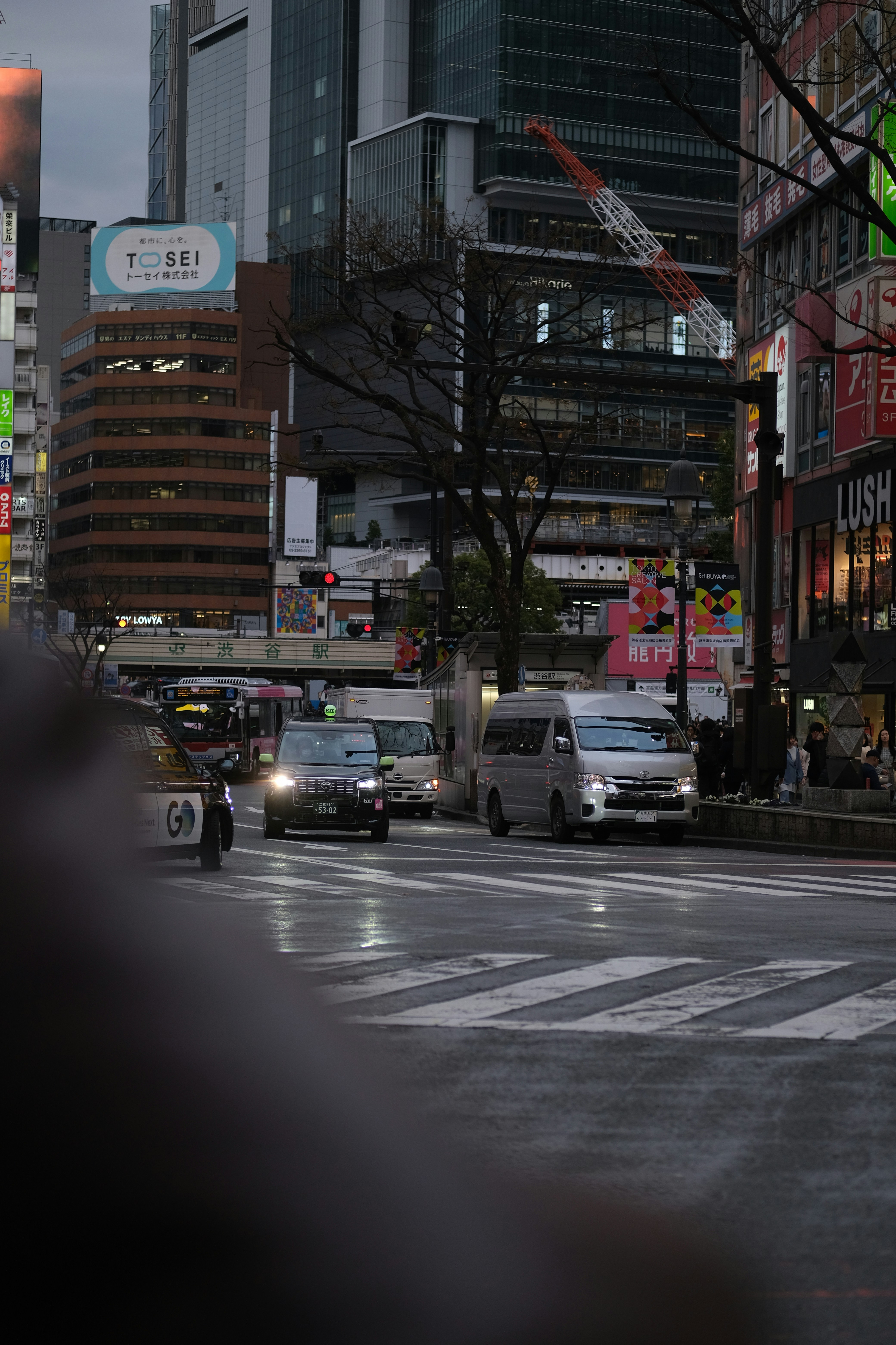 Photo by sara_thaundrdawg