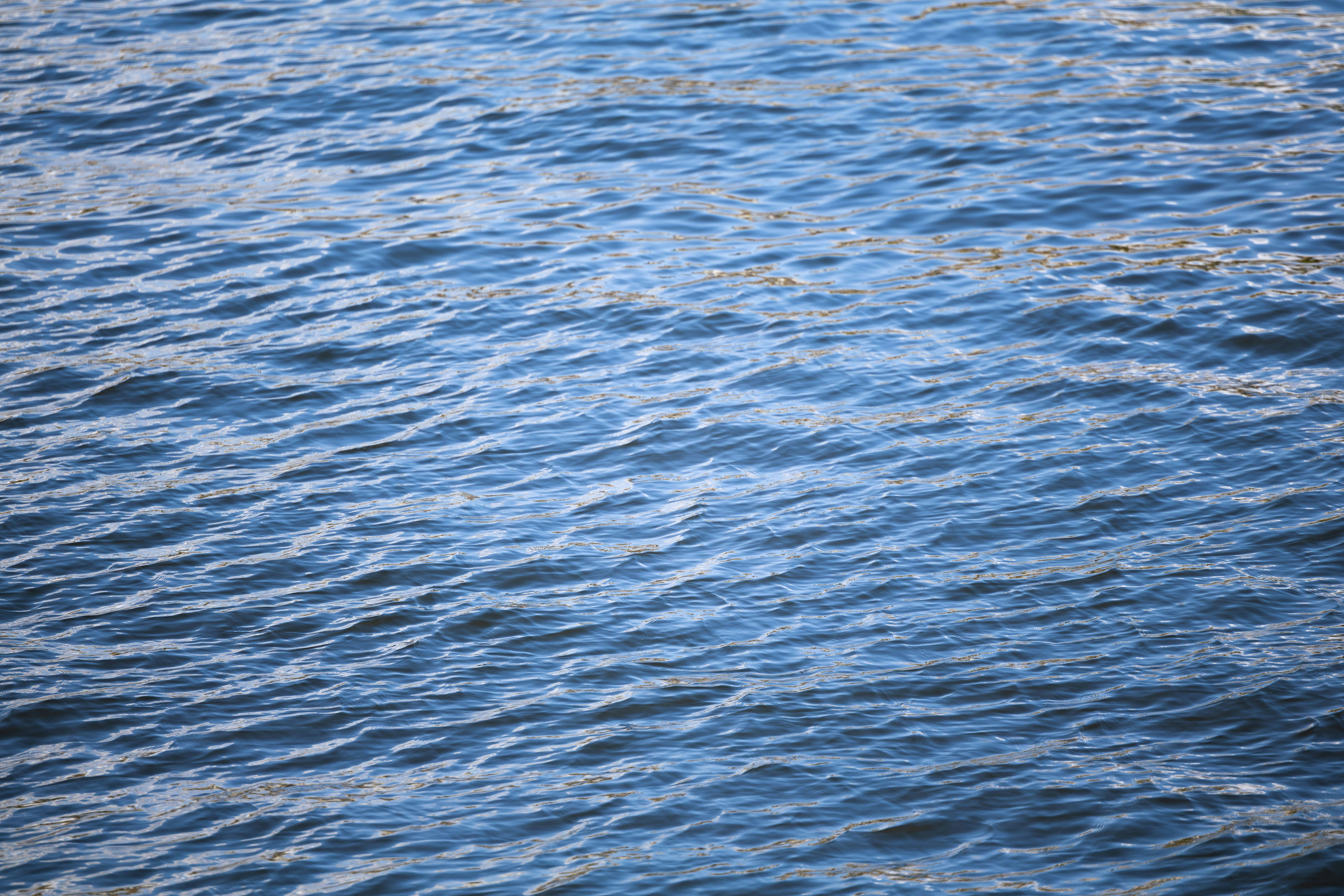 Photo by yangluhan091