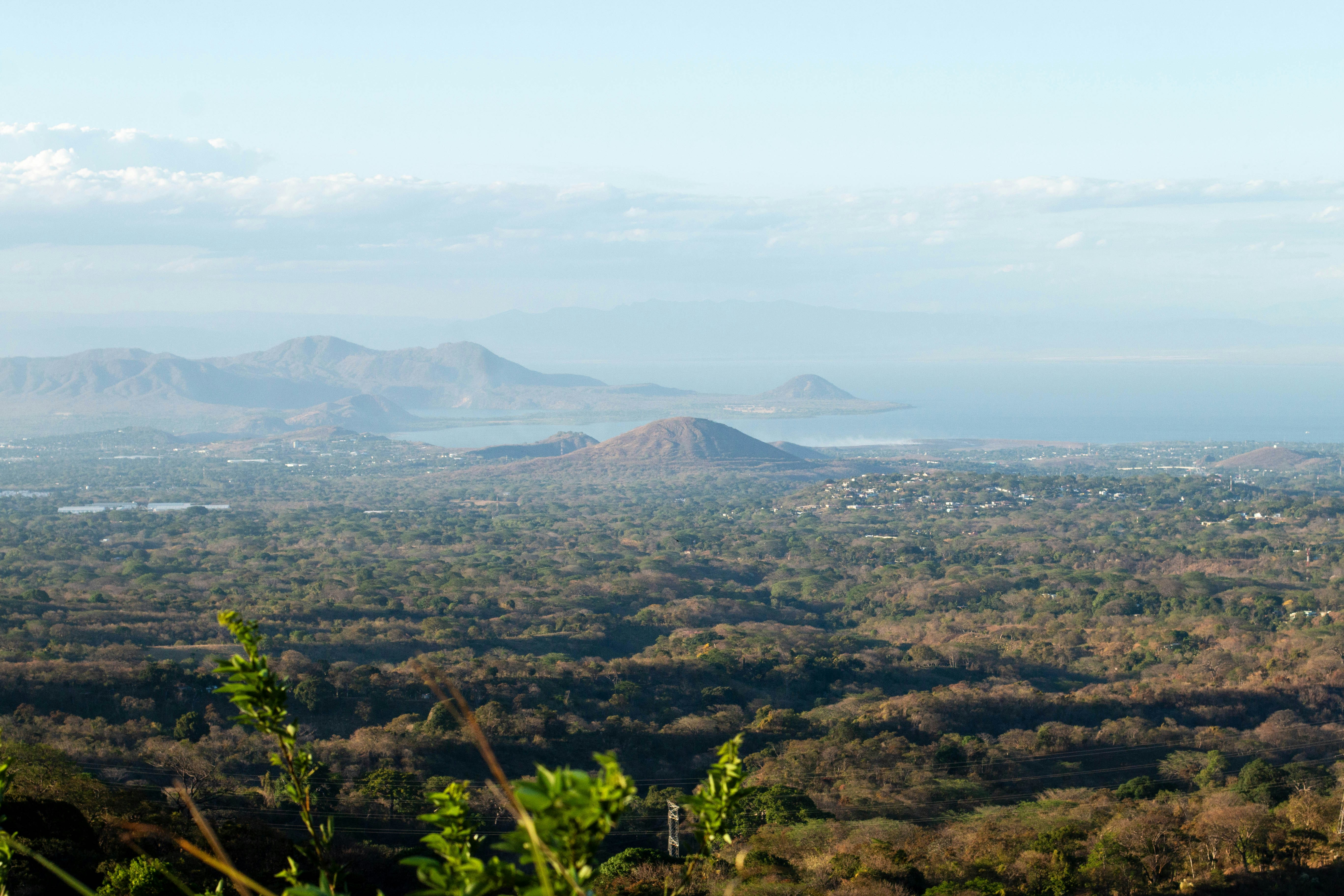 Photo by alvisonhunter