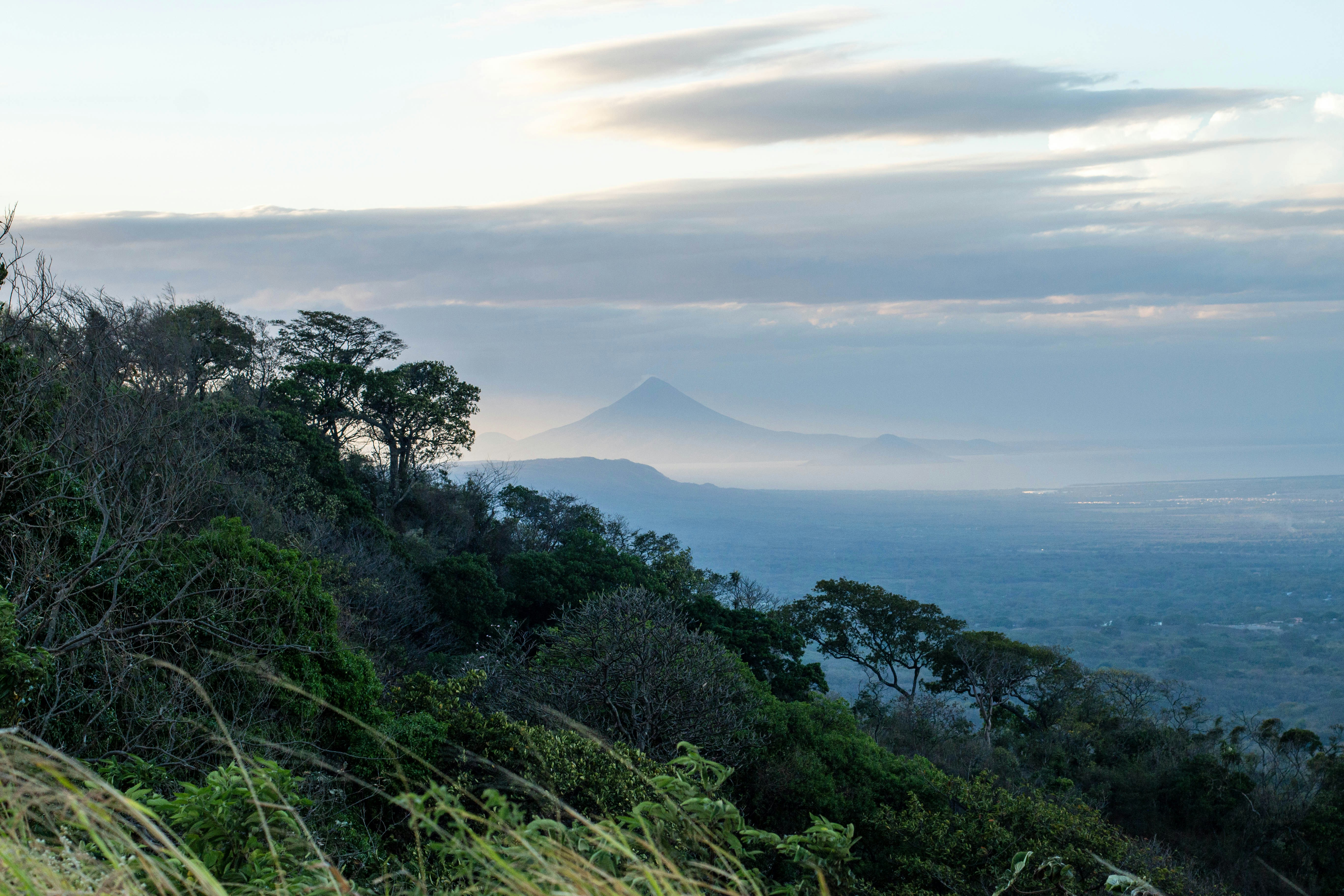 Photo by alvisonhunter