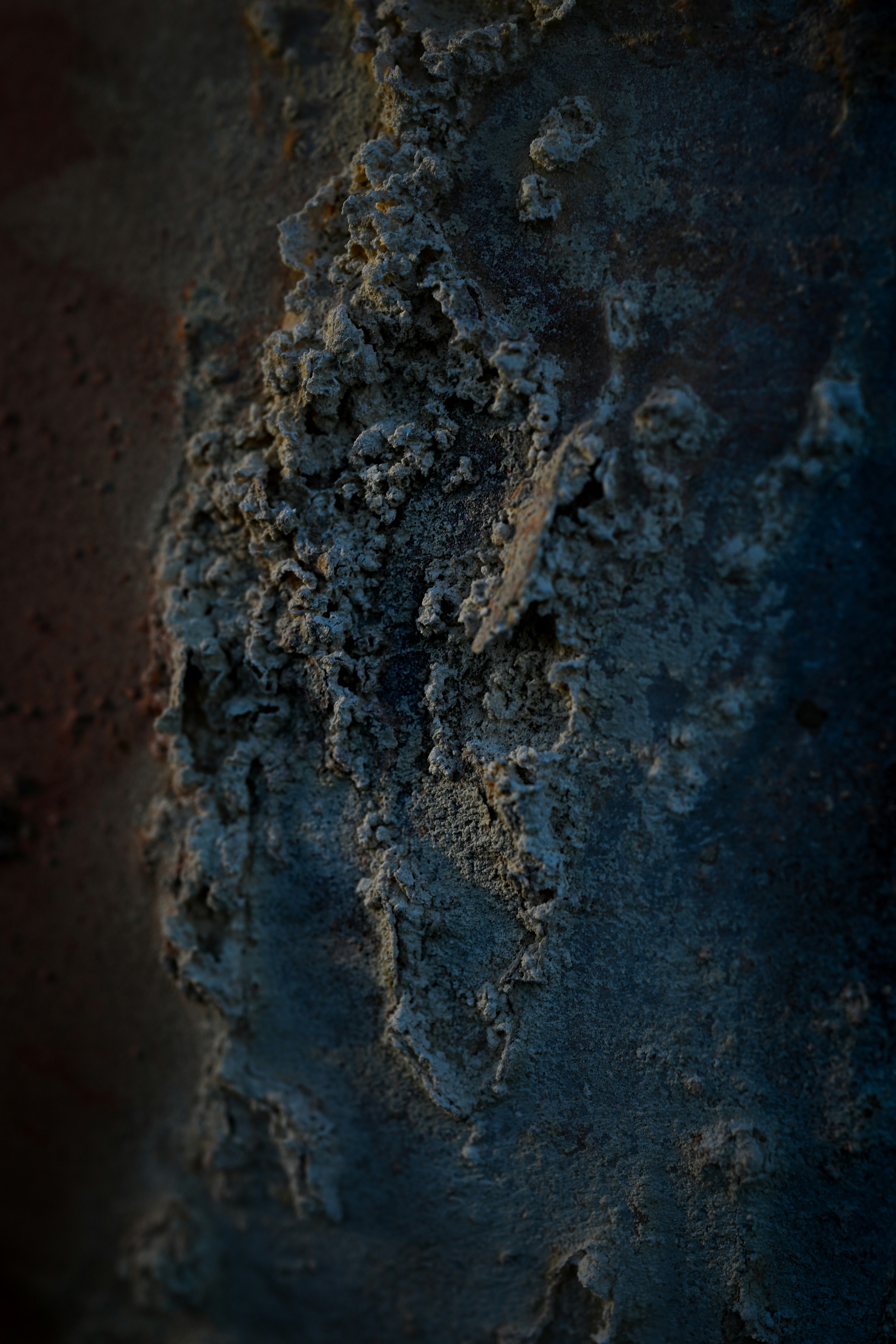 Photo by myworldisblue