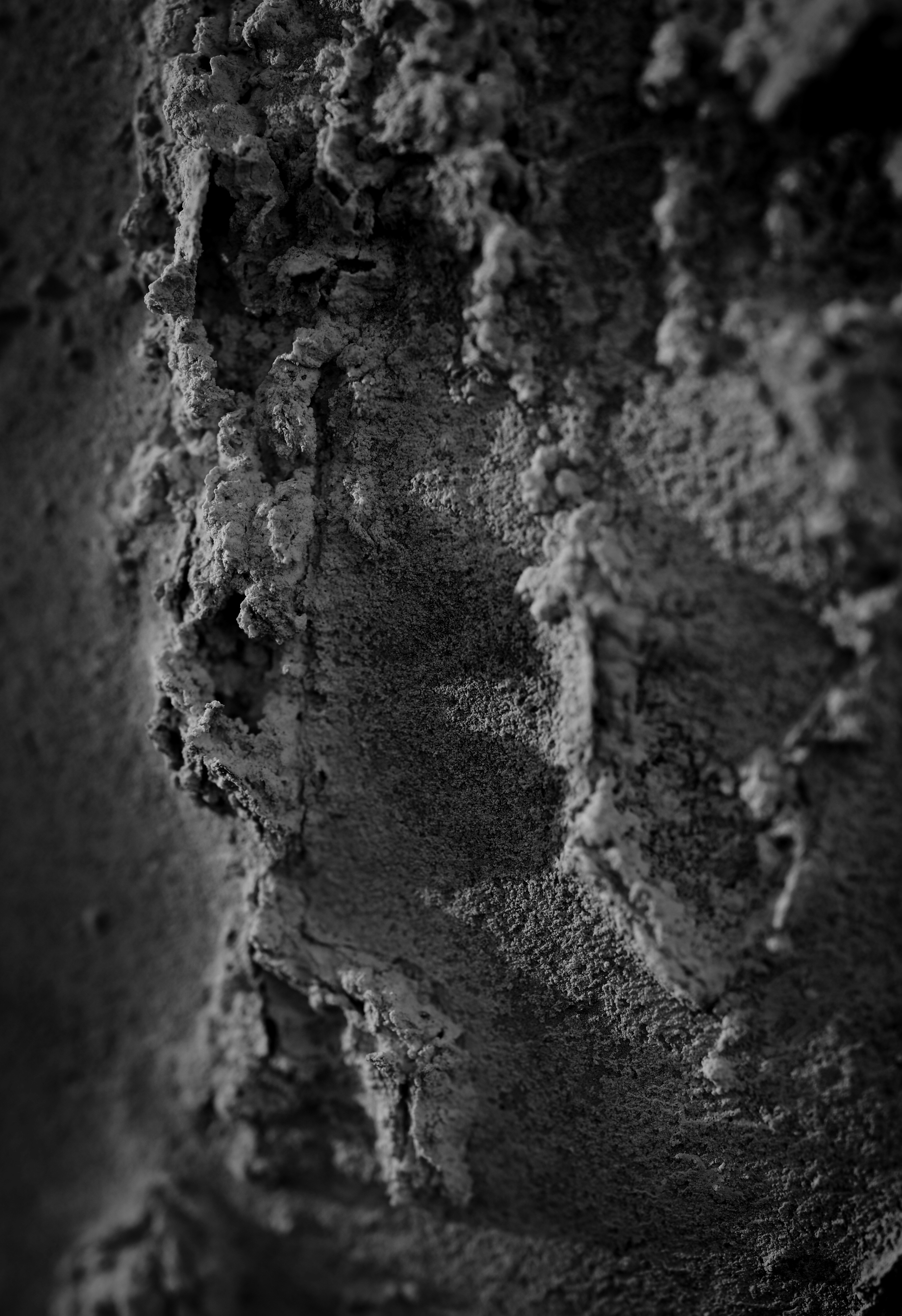 Photo by myworldisblue