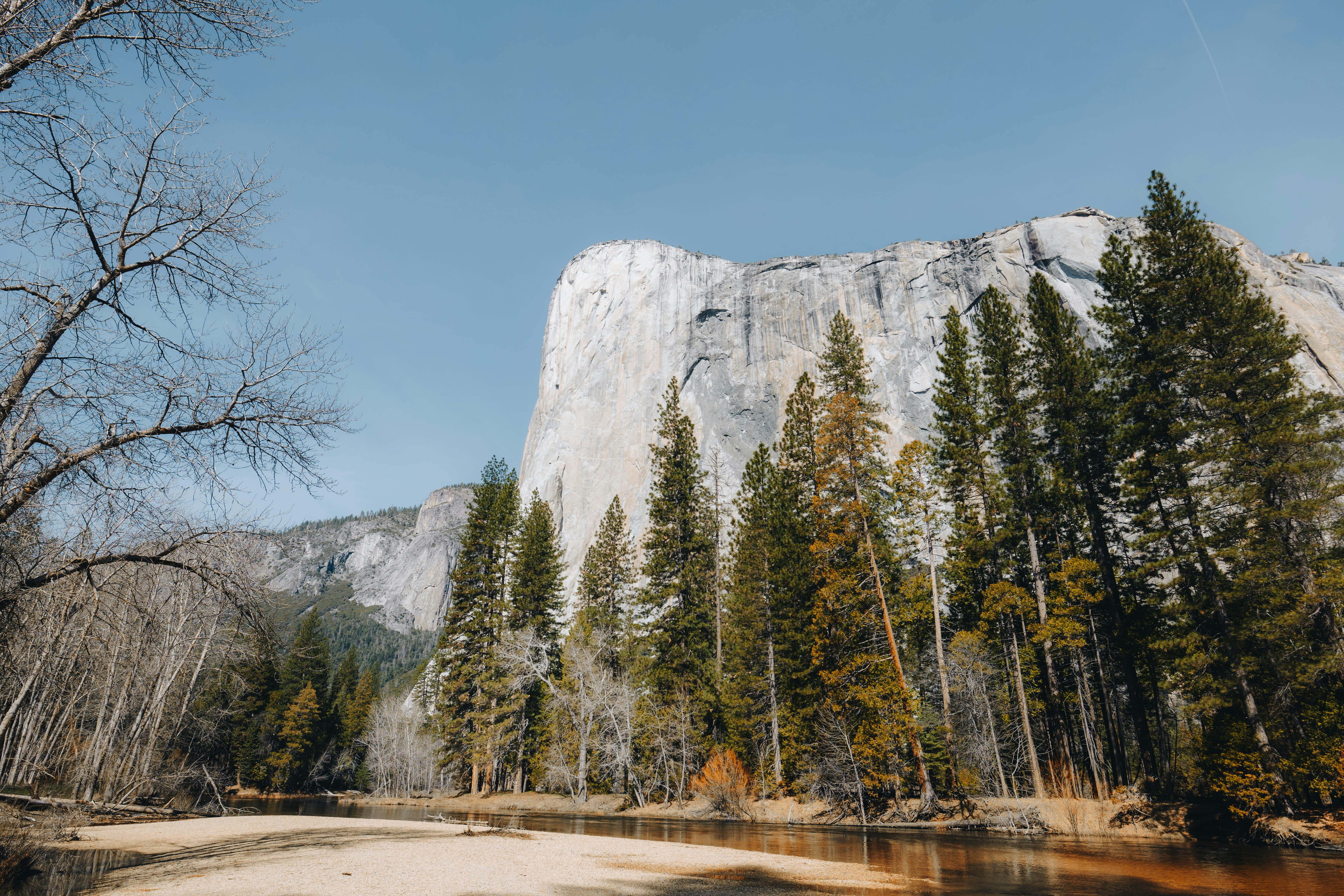 Photo by jeffersonsees