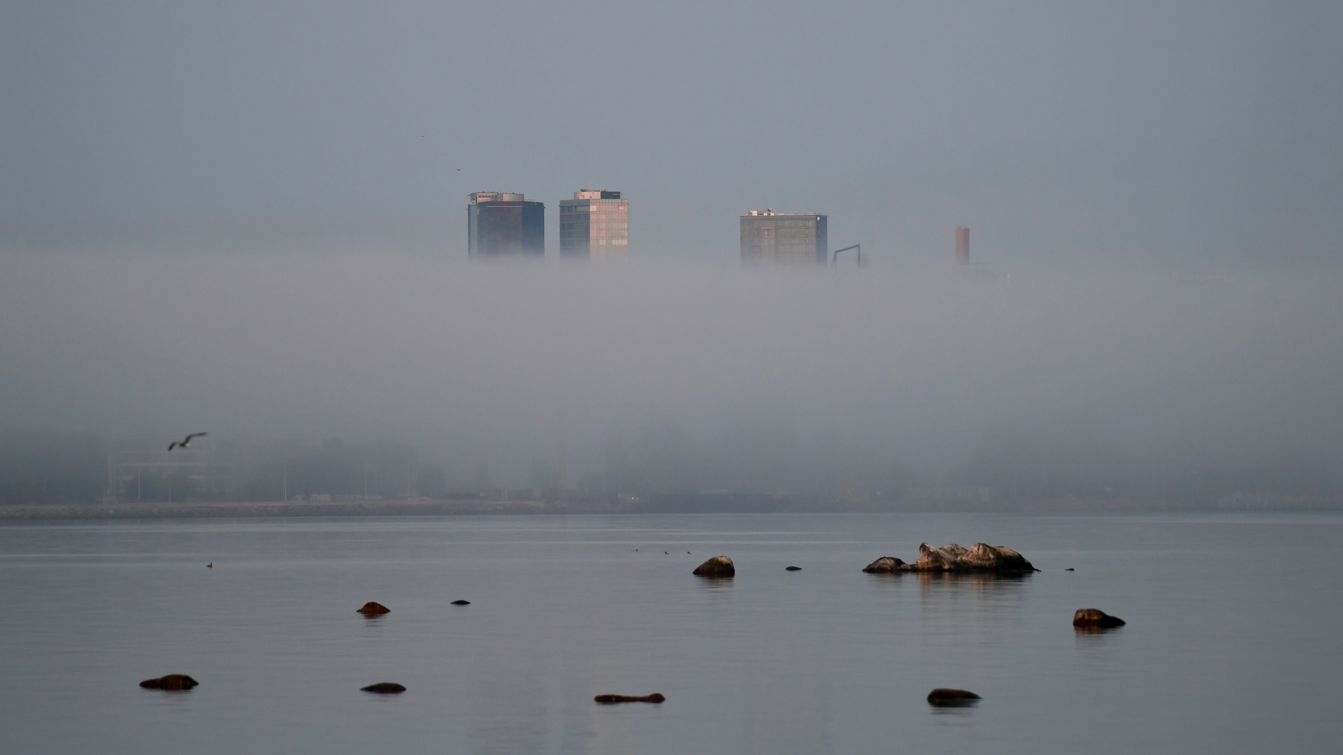 Tallinn community photo 15