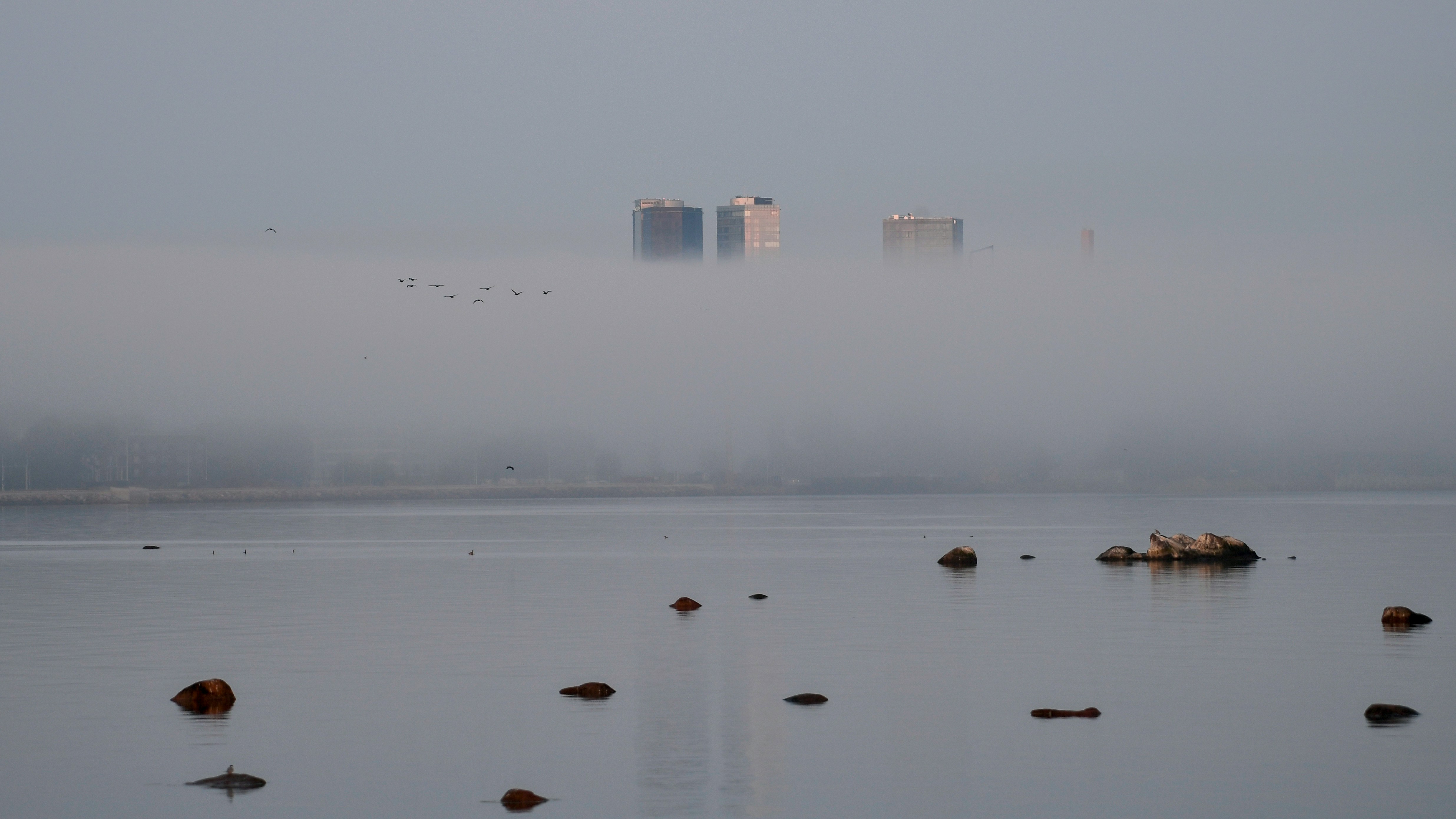 Tallinn community photo 11