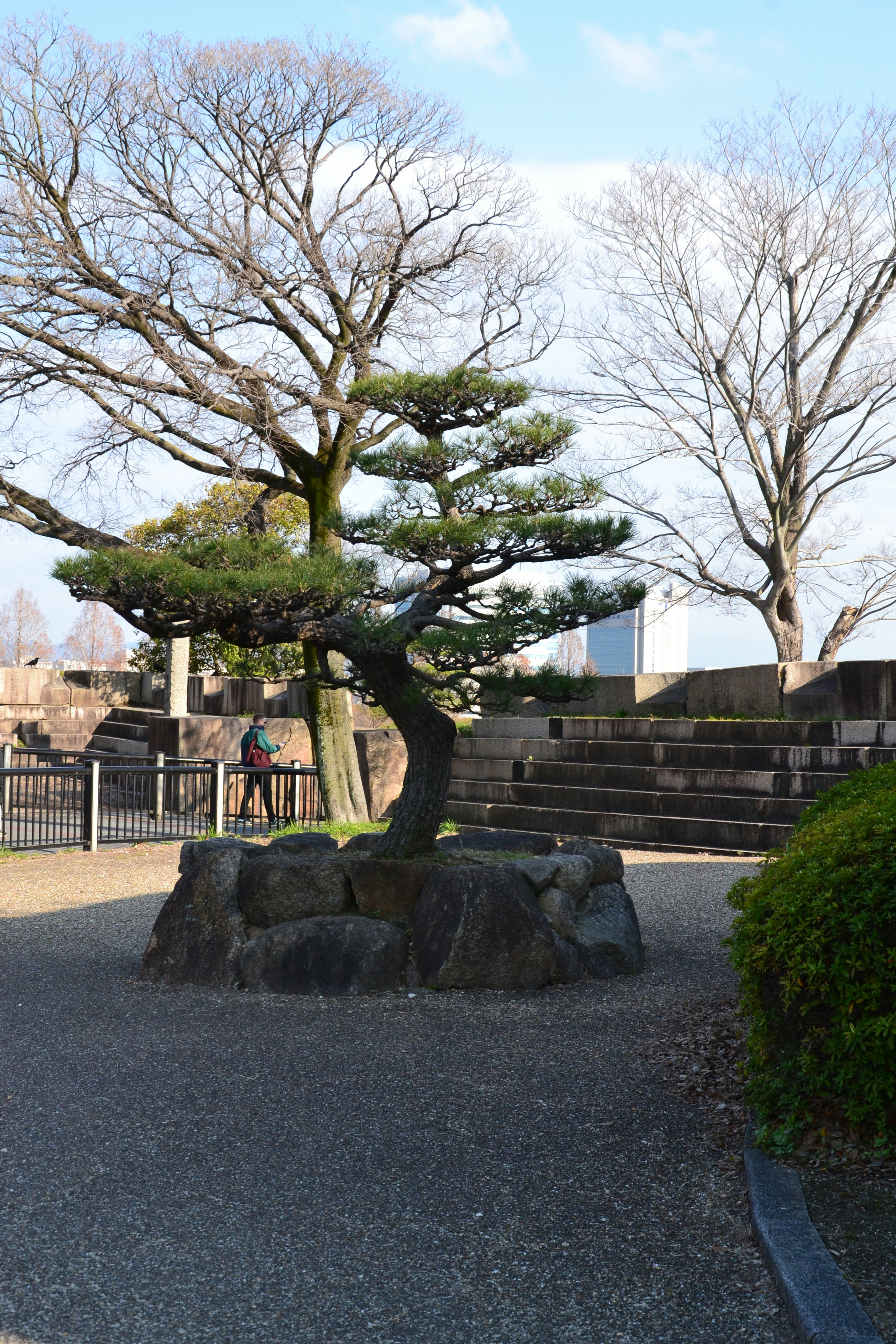 Photo by natnoe