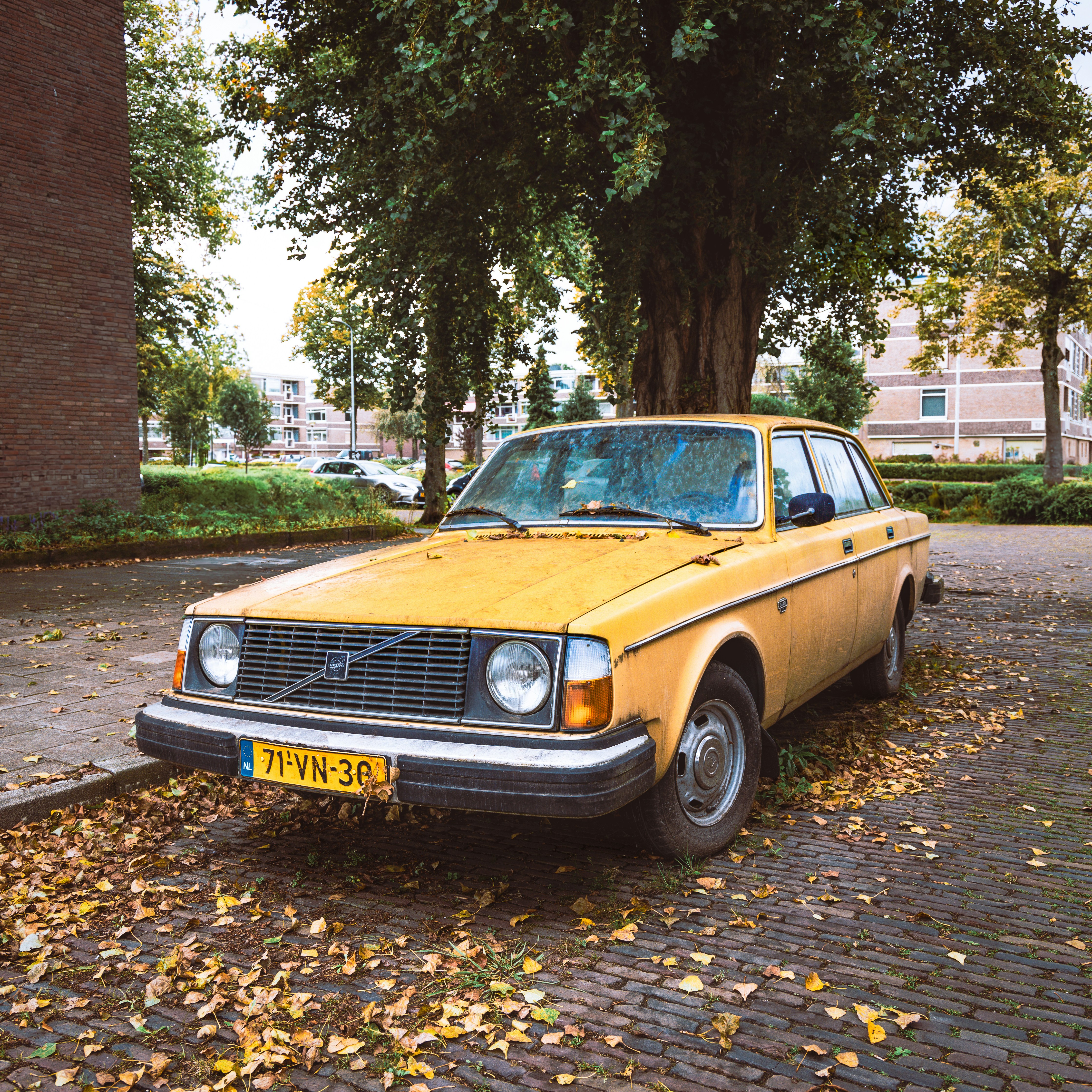Yellow volvo parked amongst fallen autumn leaves