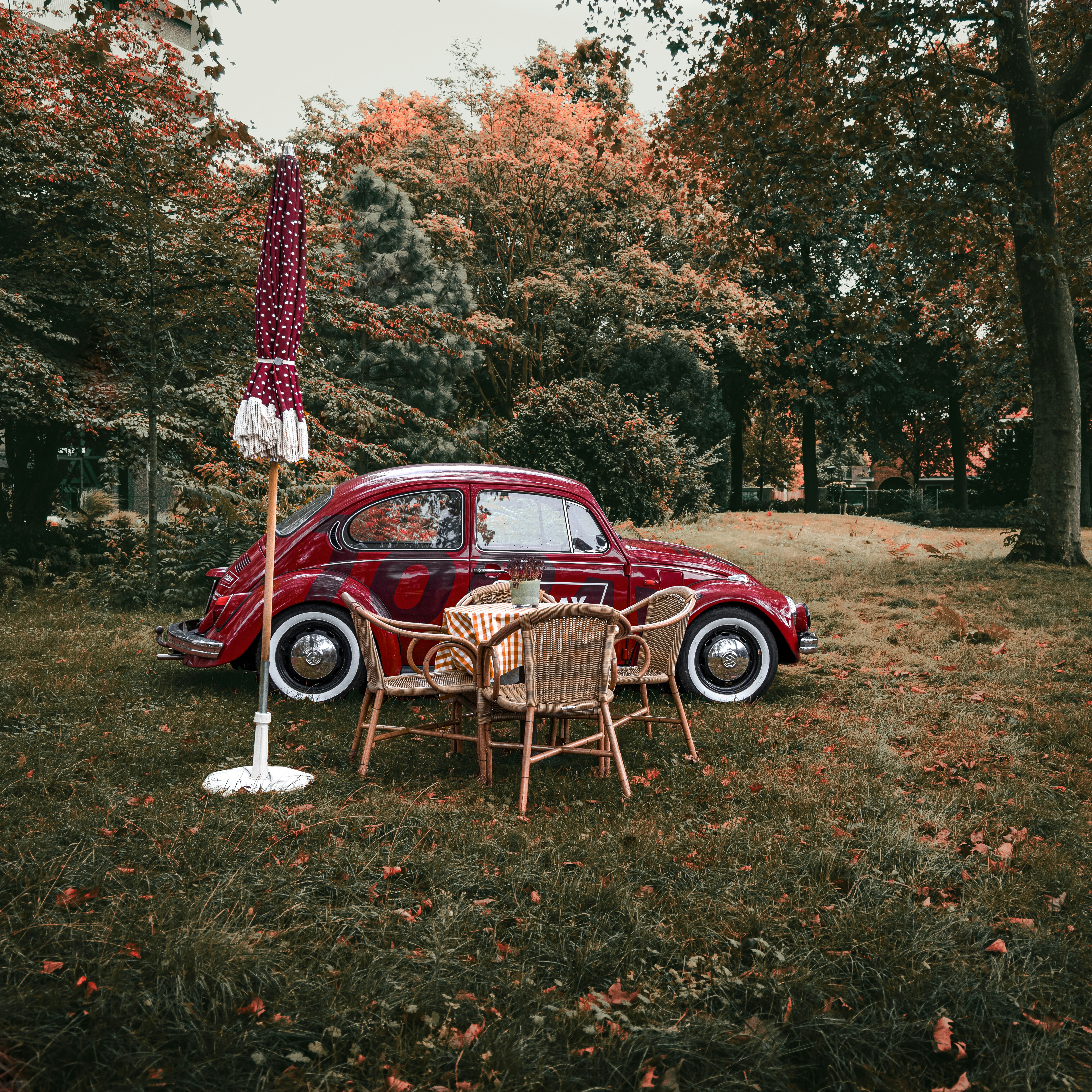 Red vintage car with outdoor seating in autumn park