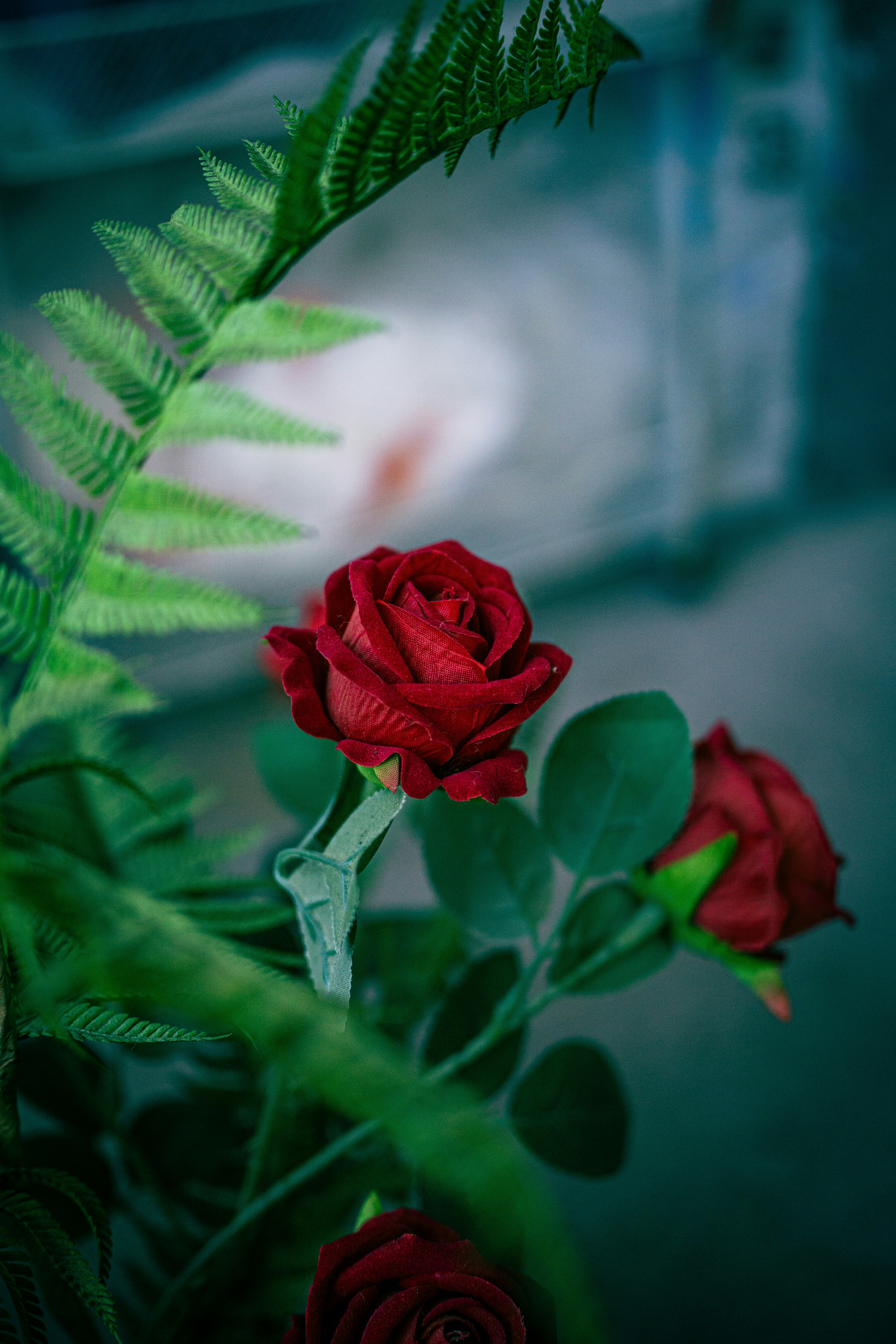 Red roses with green leaves and fern fronds