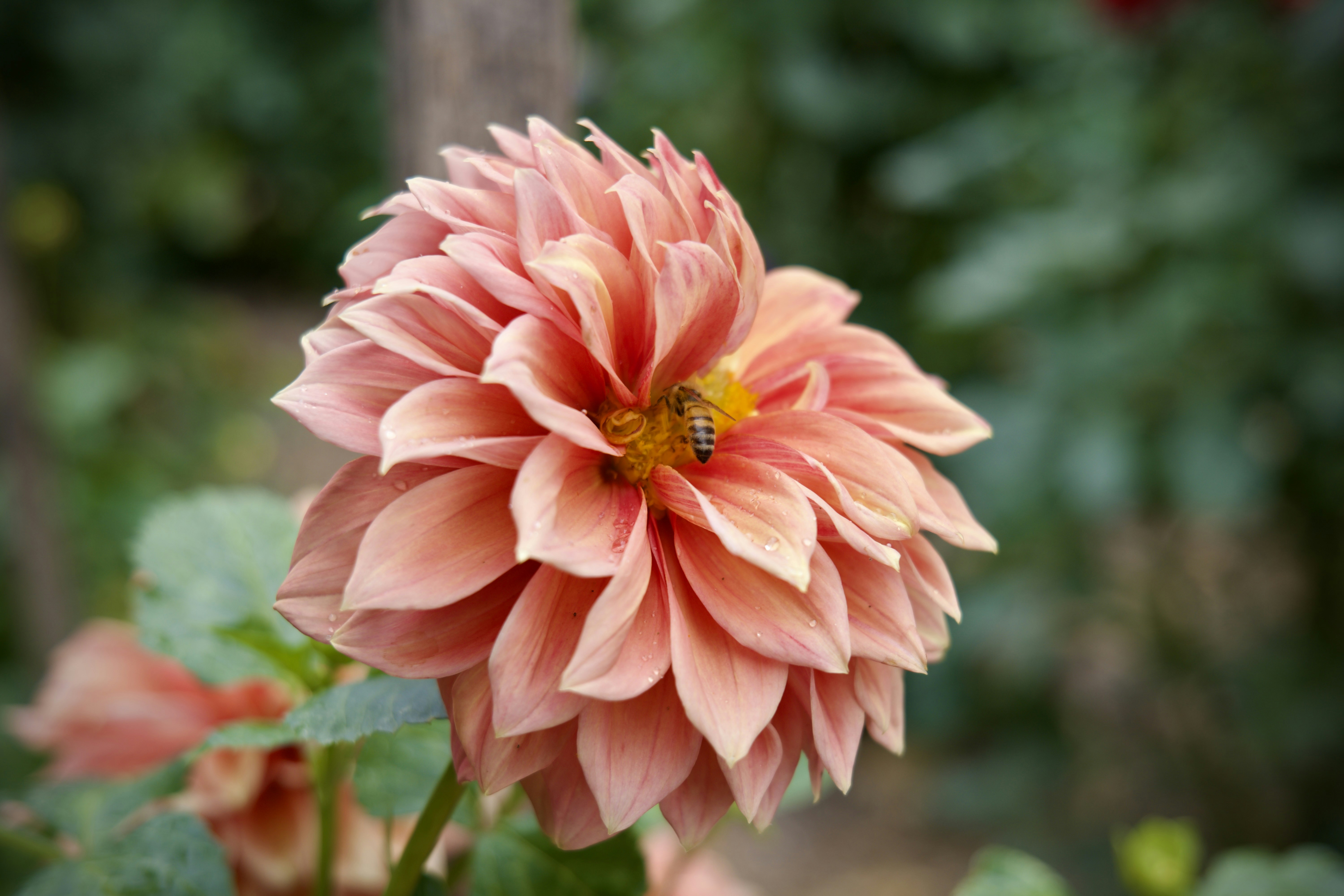 Photo by thelightnight