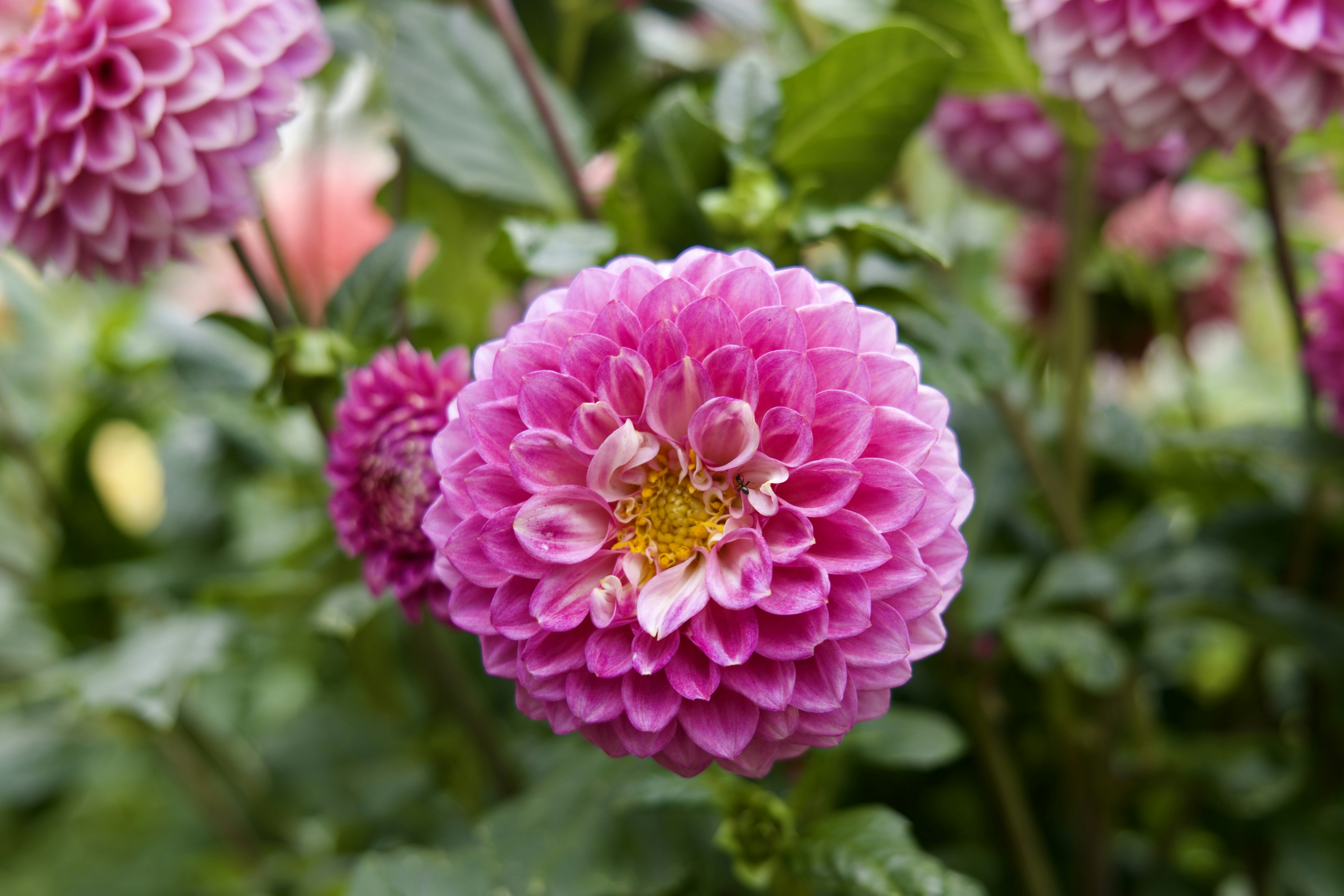 Photo by thelightnight