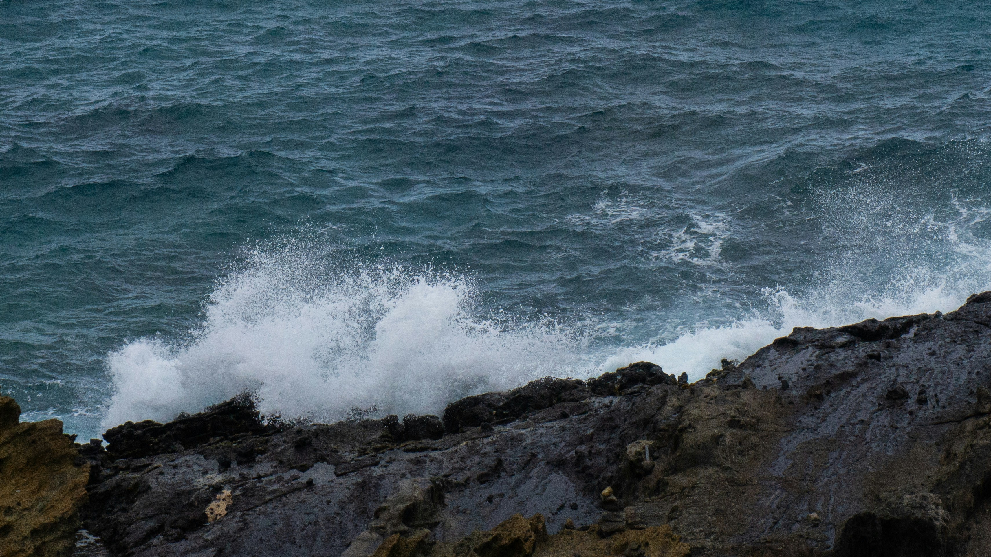 Photo by detergentp