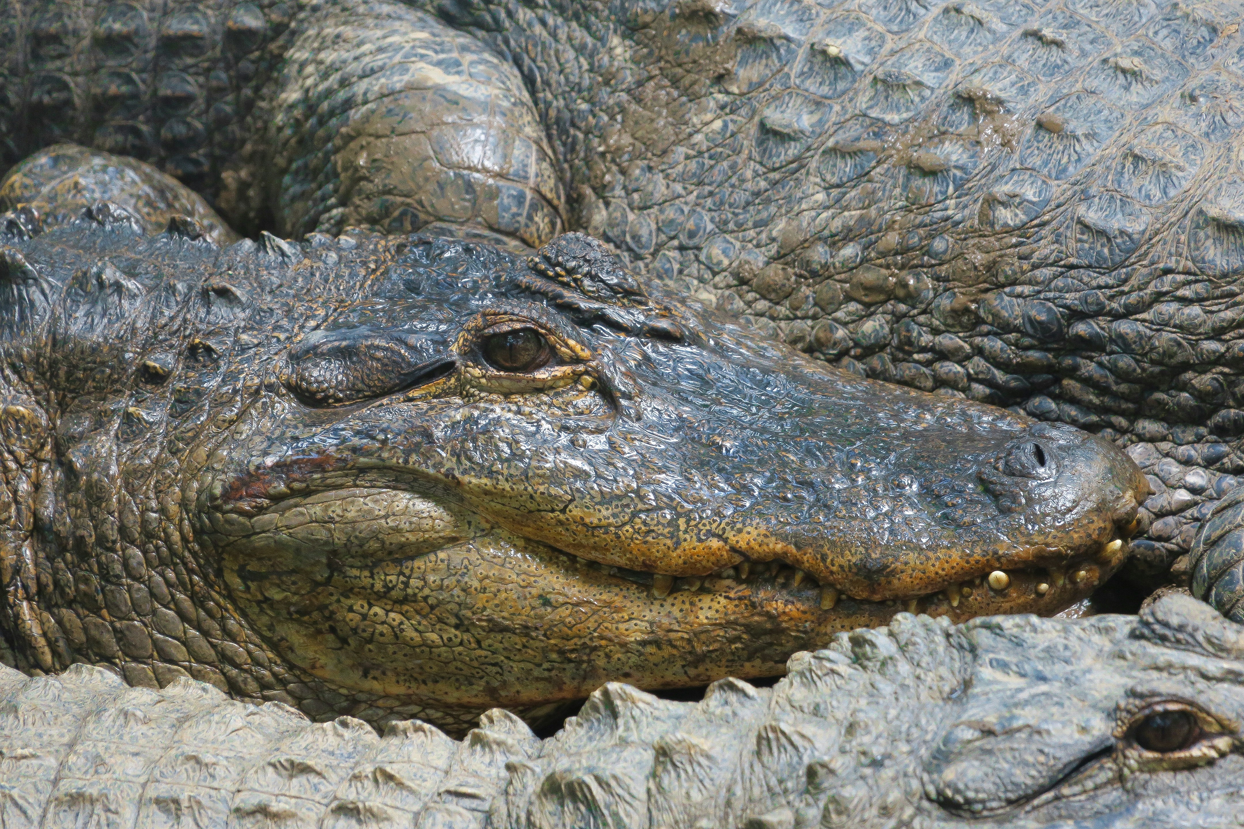 Photo by nicolelaurenphotography