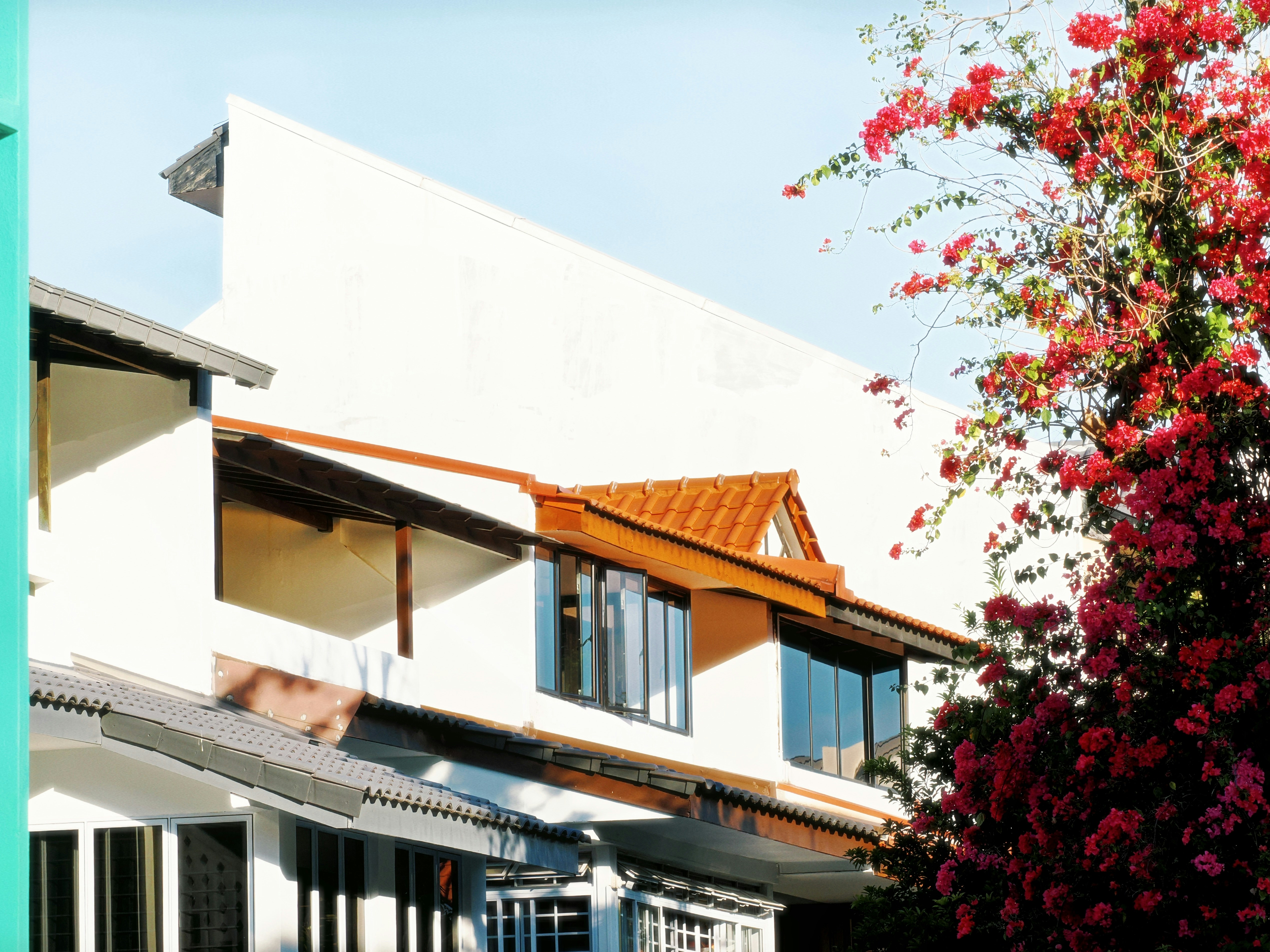 Photo by liliantruong2603