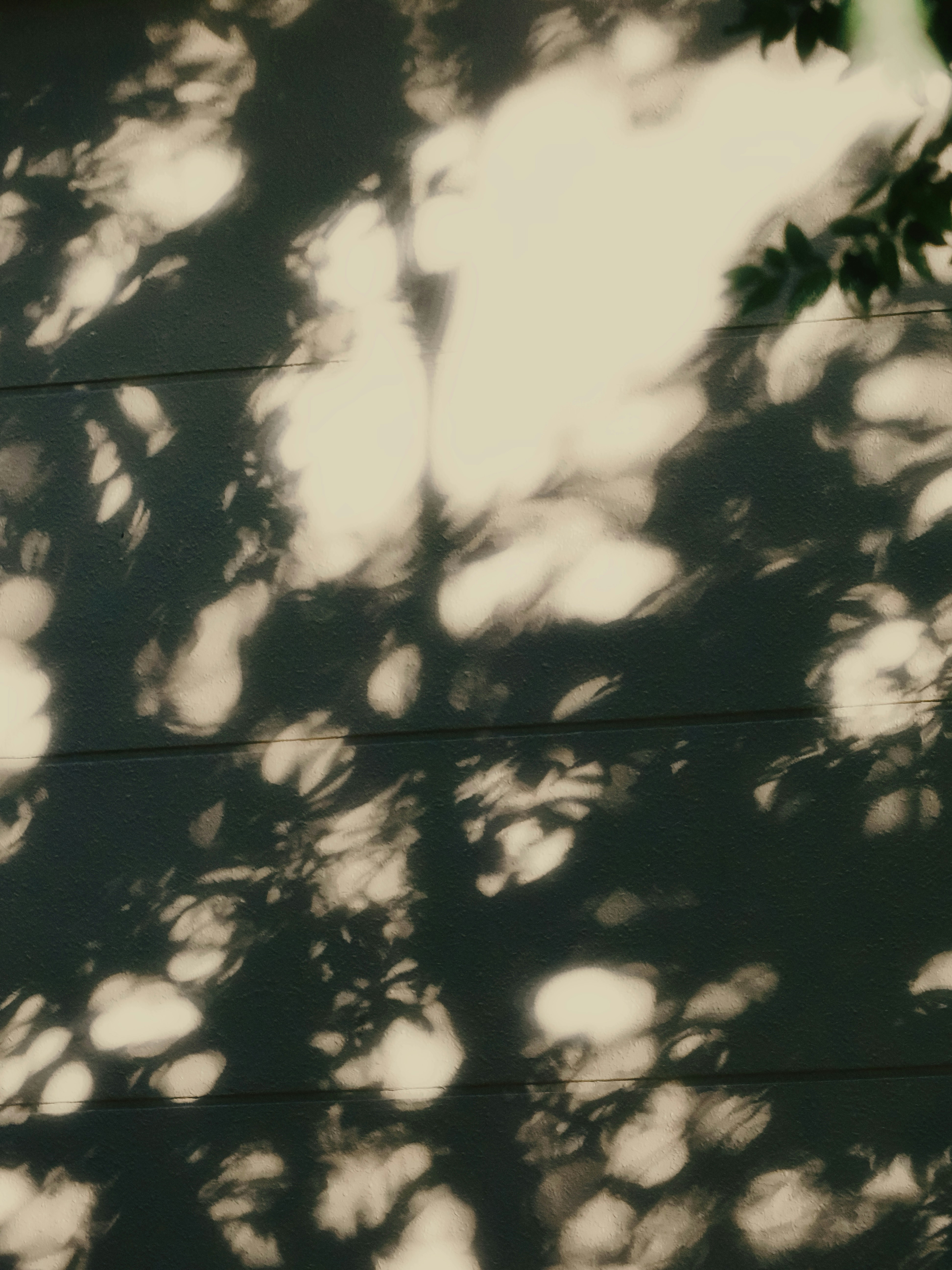 Photo by liliantruong2603