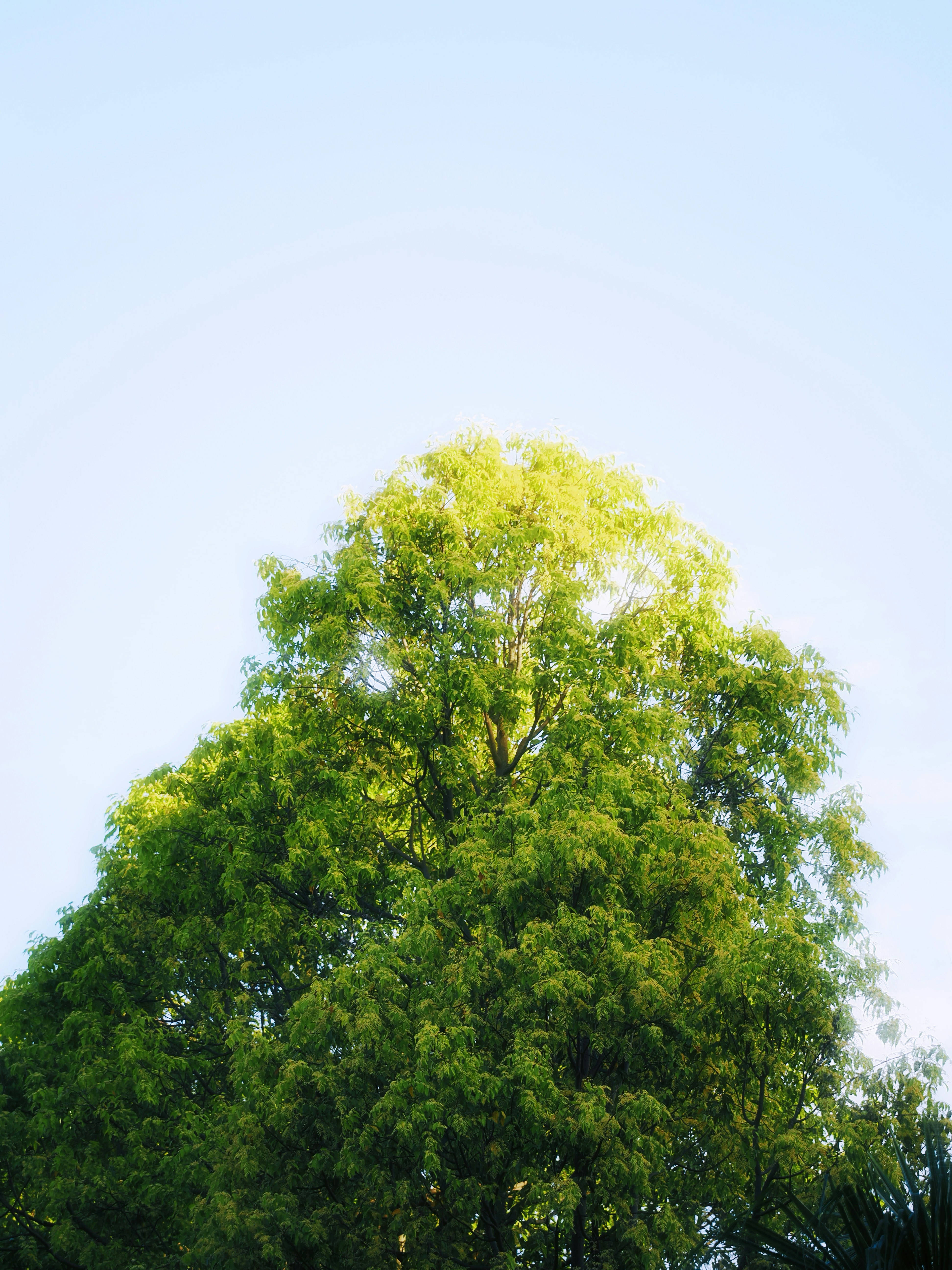 Photo by liliantruong2603