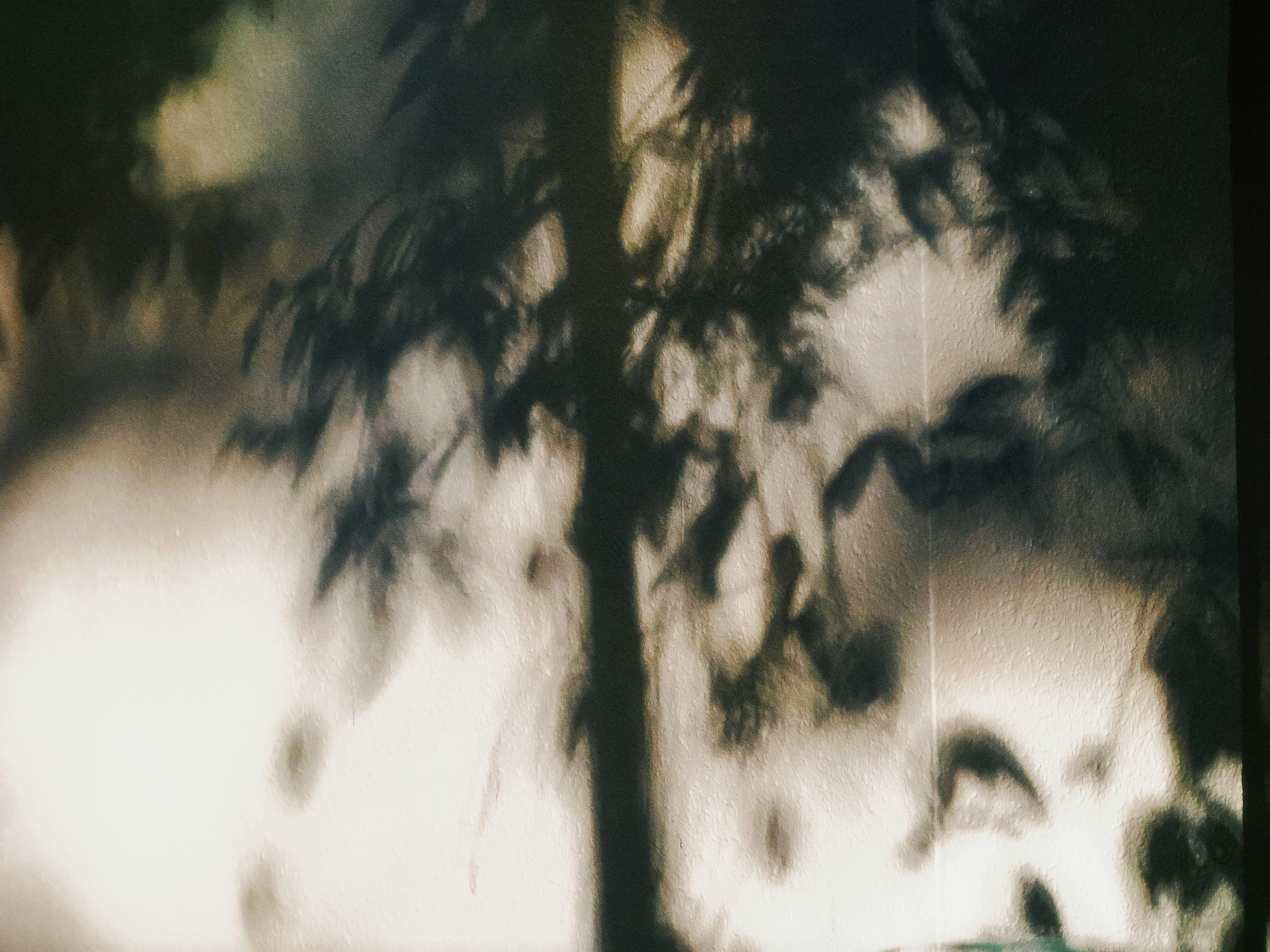 Photo by liliantruong2603