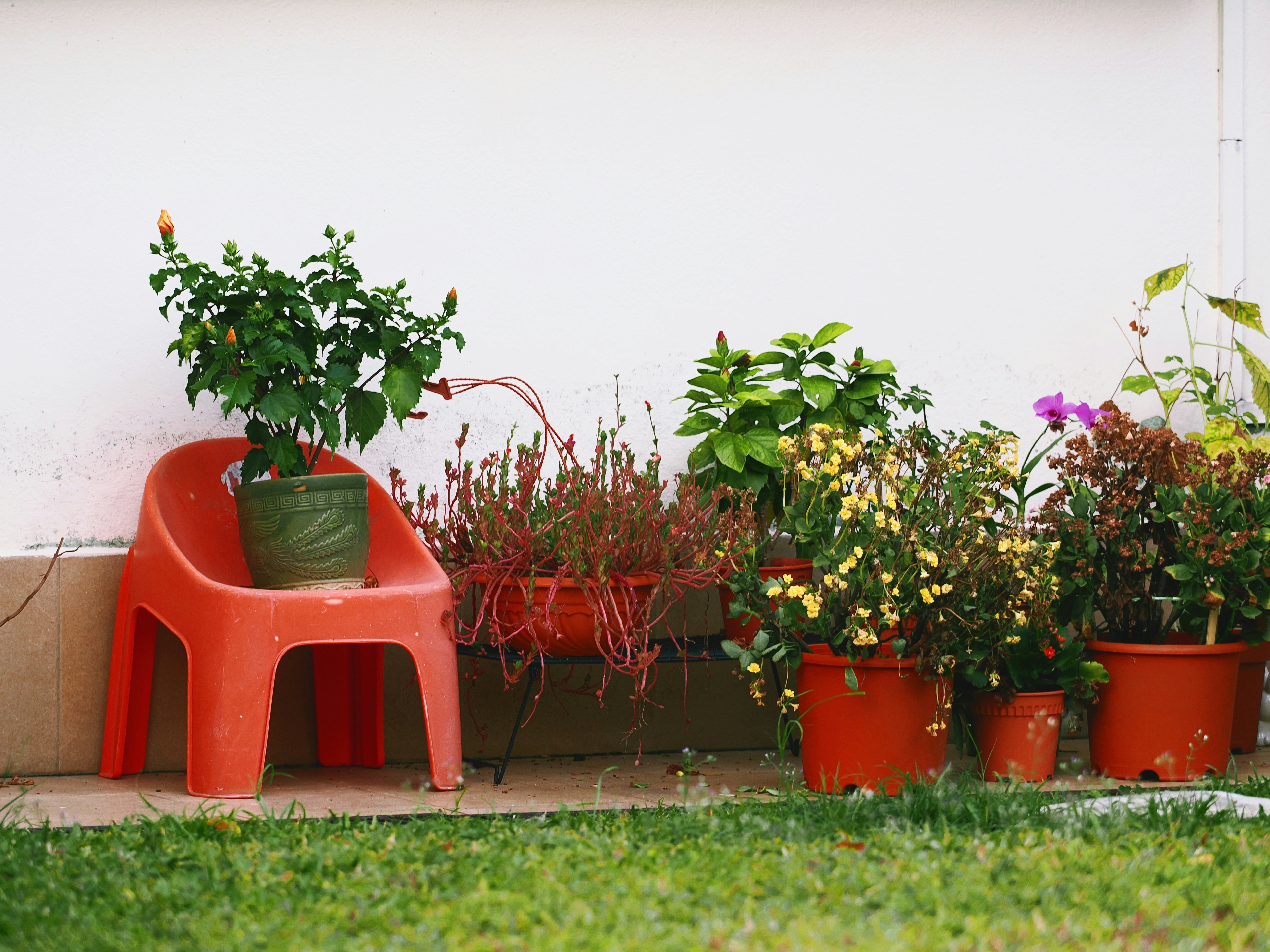 decor image
