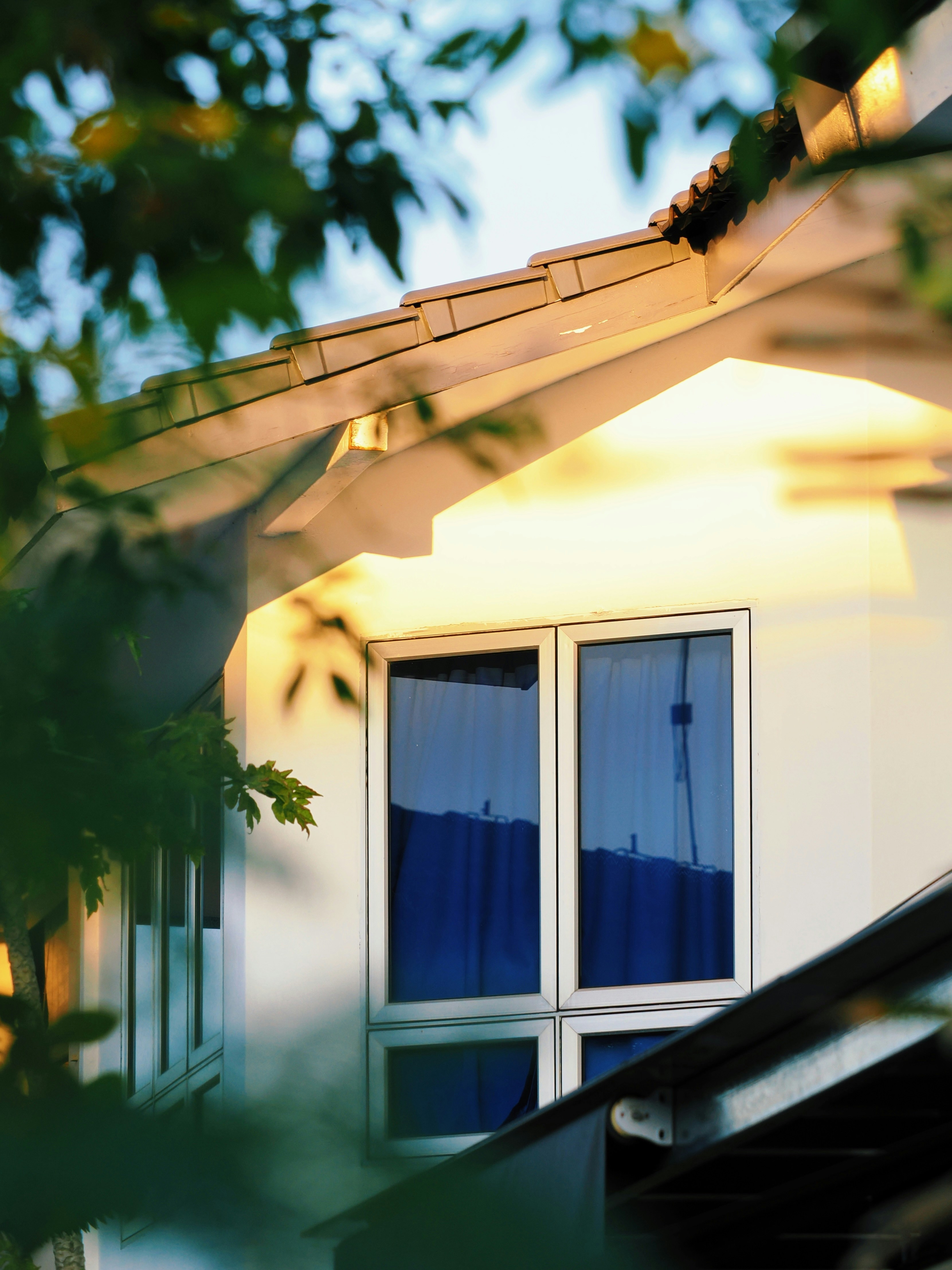 Photo by liliantruong2603