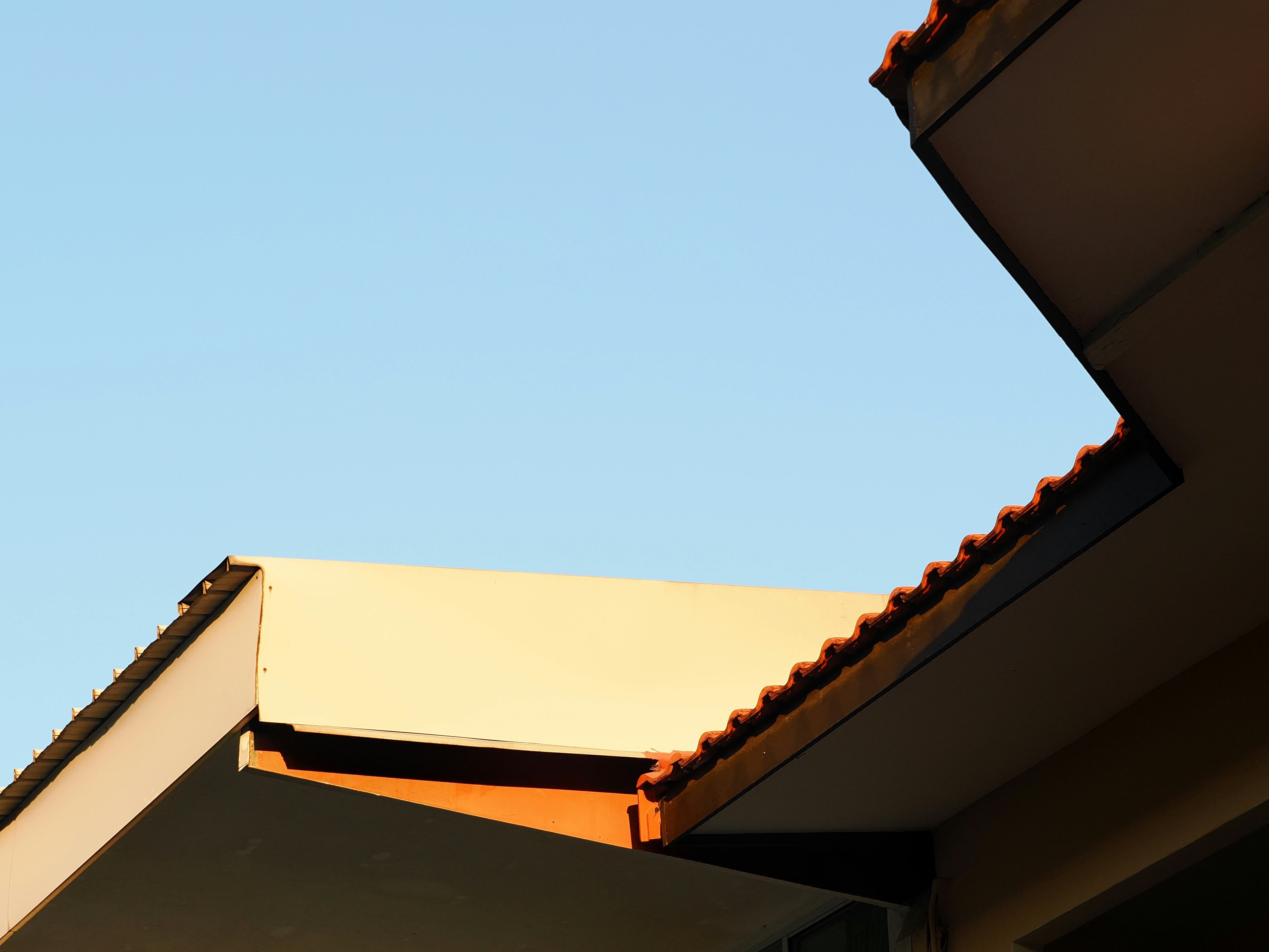 Photo by liliantruong2603