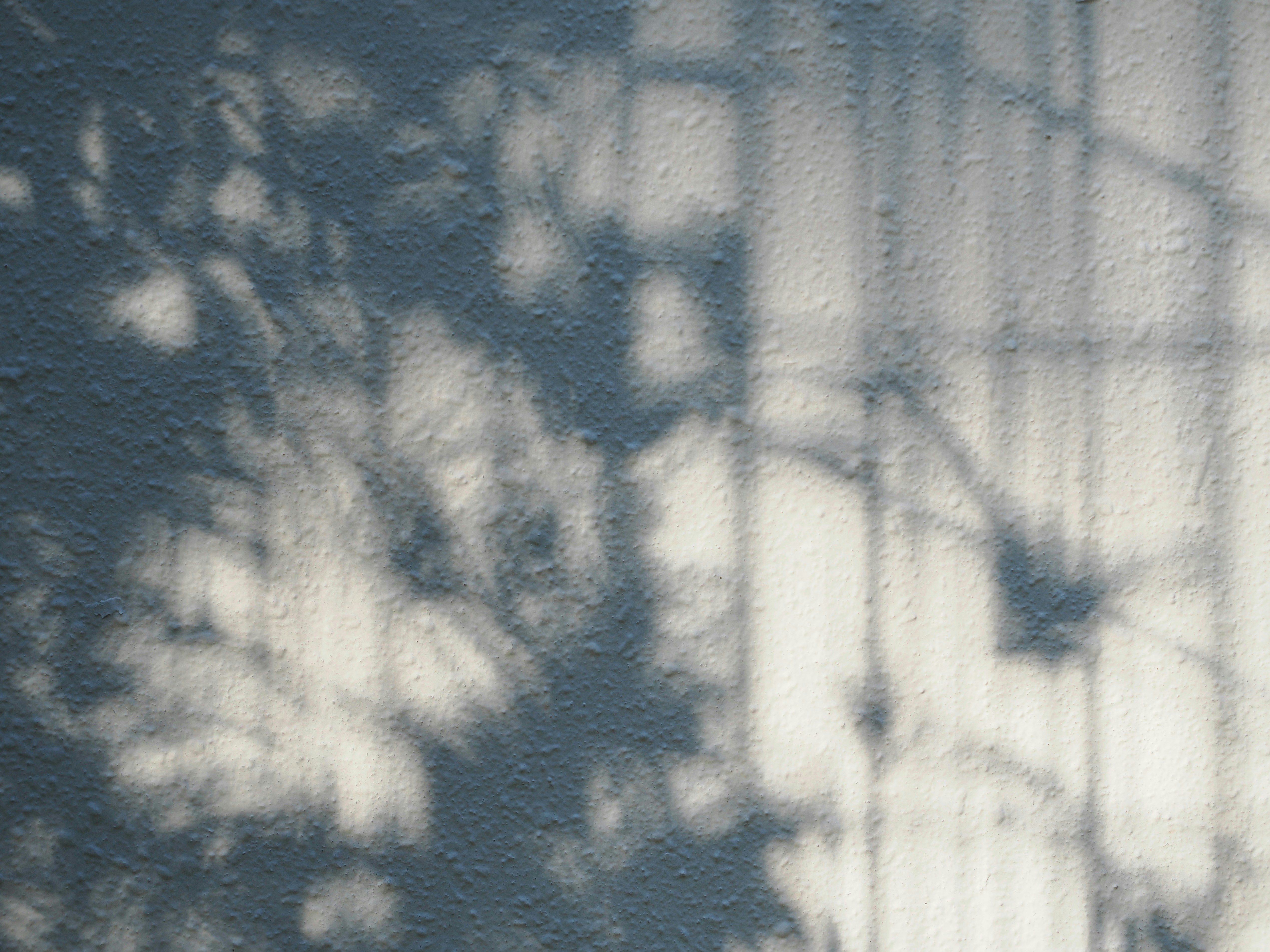 Photo by liliantruong2603