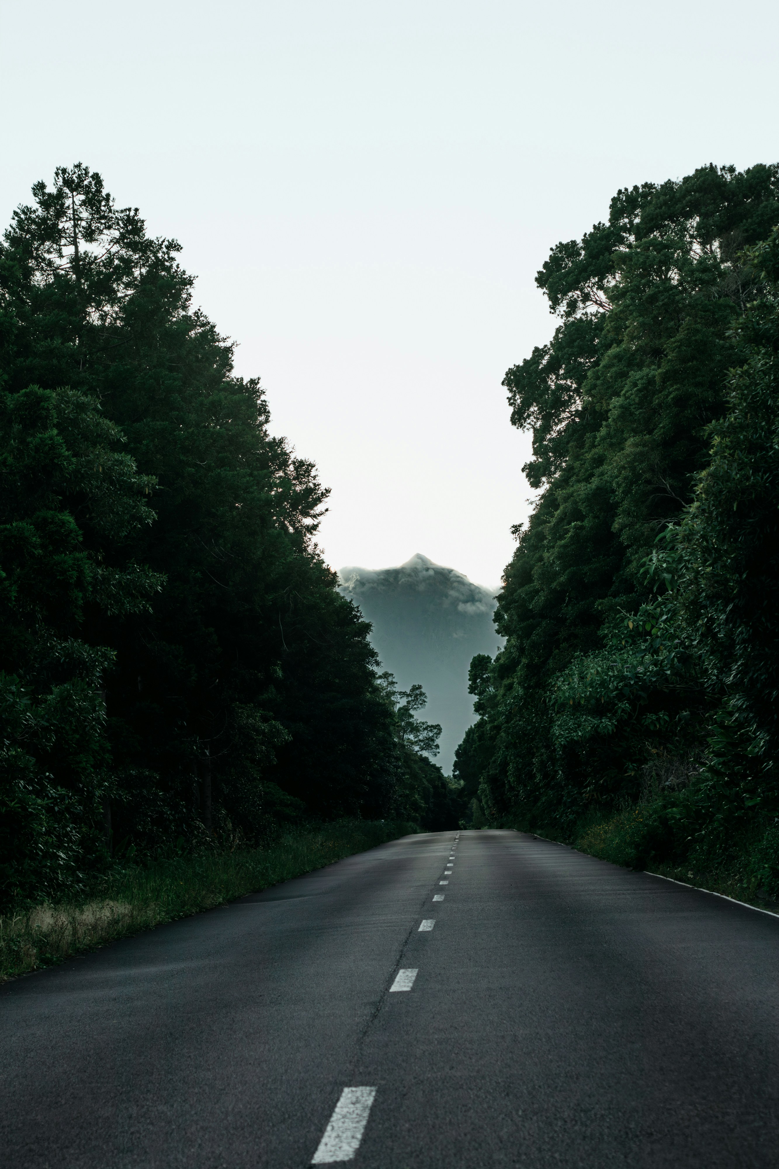 Photo by enfocuscollective