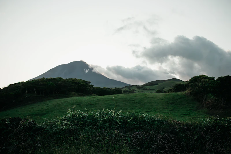 Groene heuvels op Pico met de berg op de achtergrond