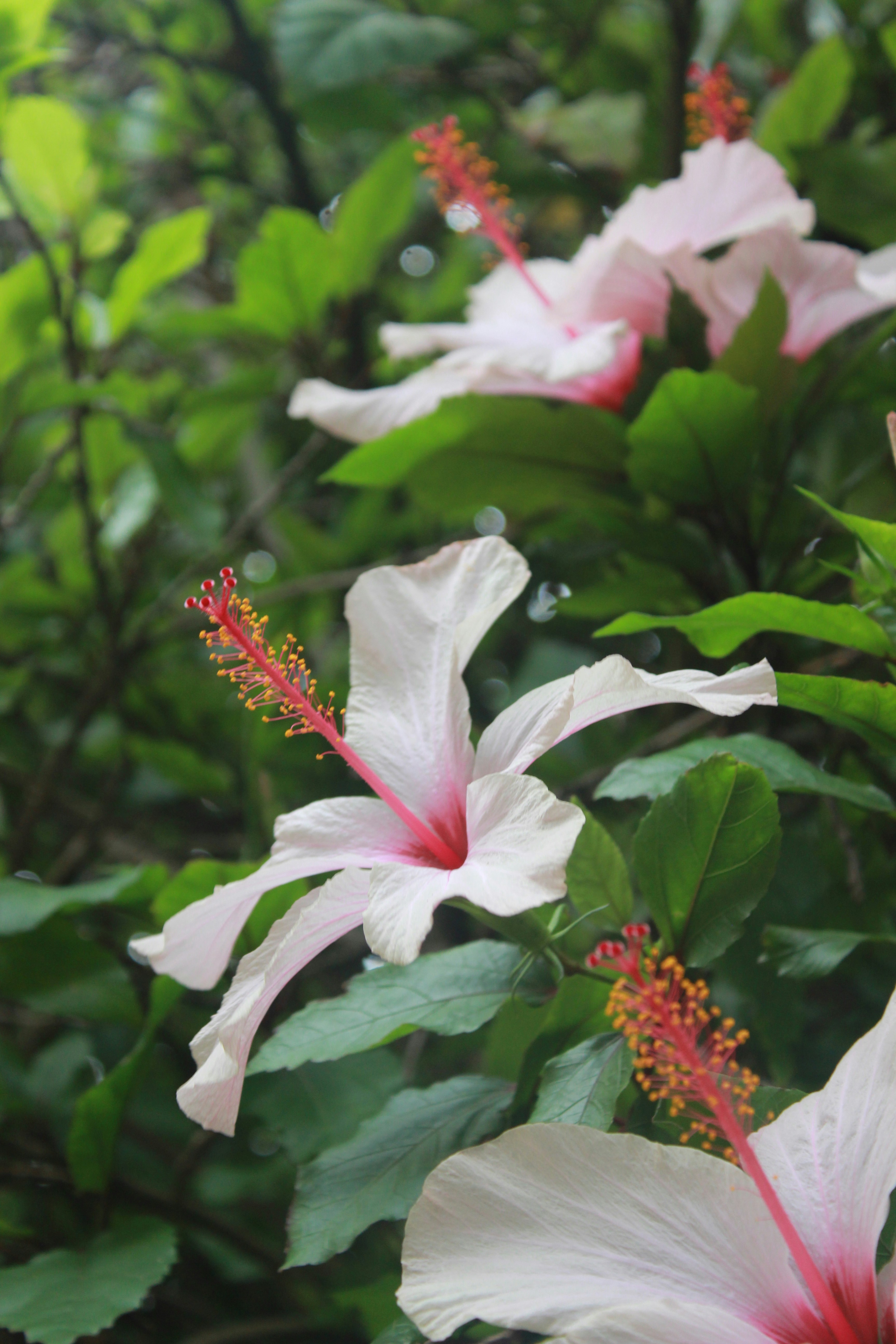 Photo by emelia_roxh