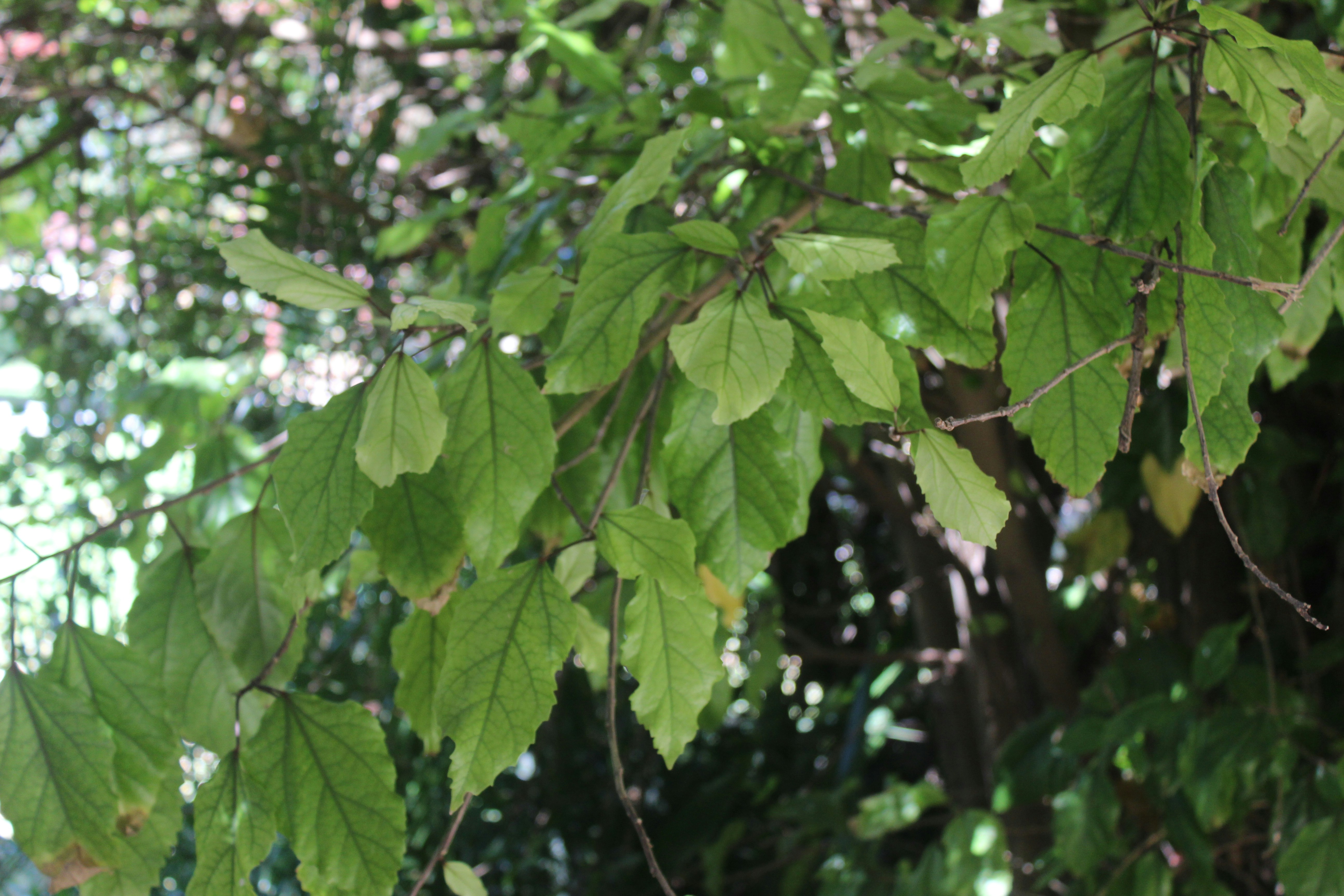 Photo by emilyedwards