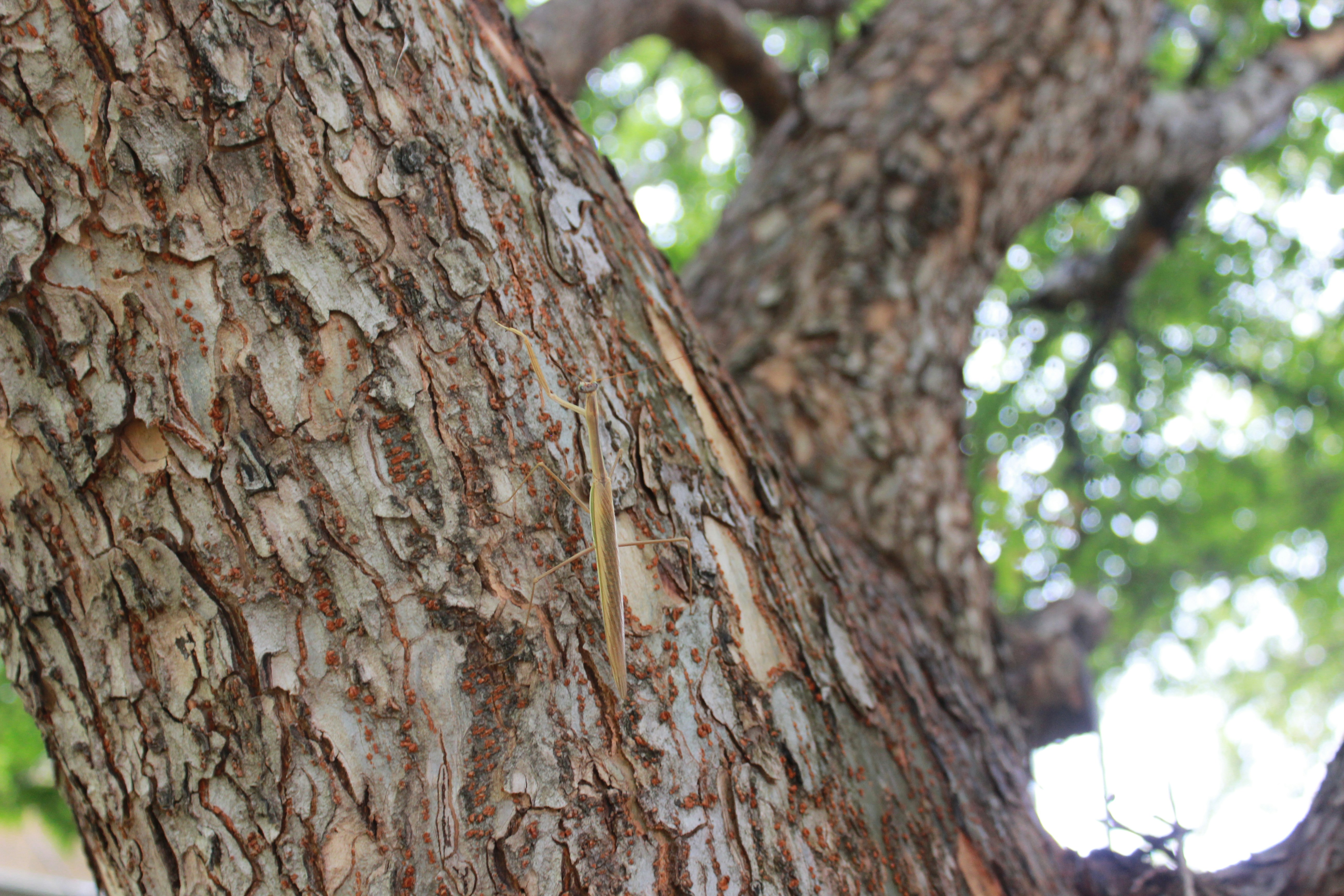 Photo by emilyedwards