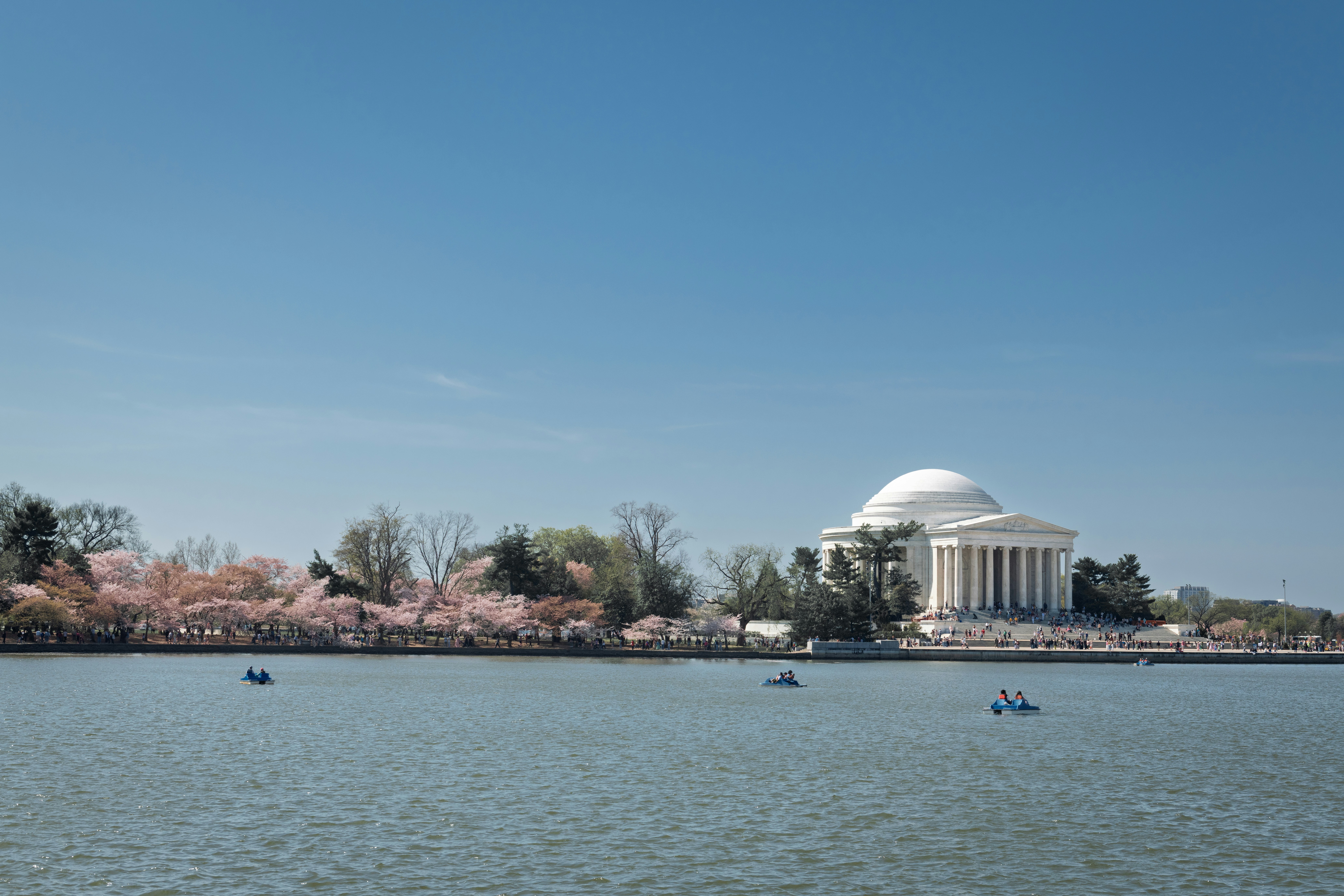 Thomas jefferson memorial with cherry blossoms and tidal basin.