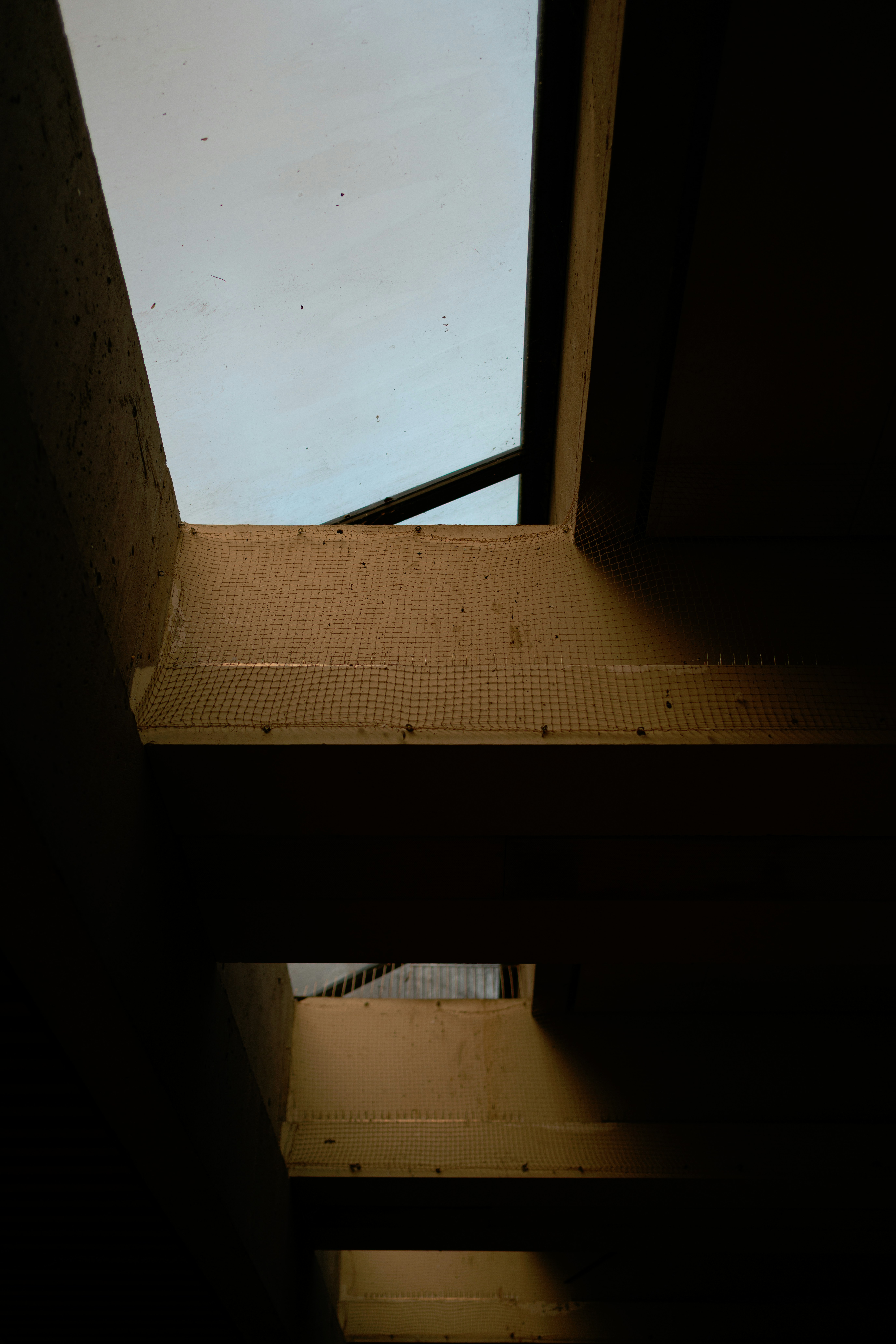 Photo by ericstoynov