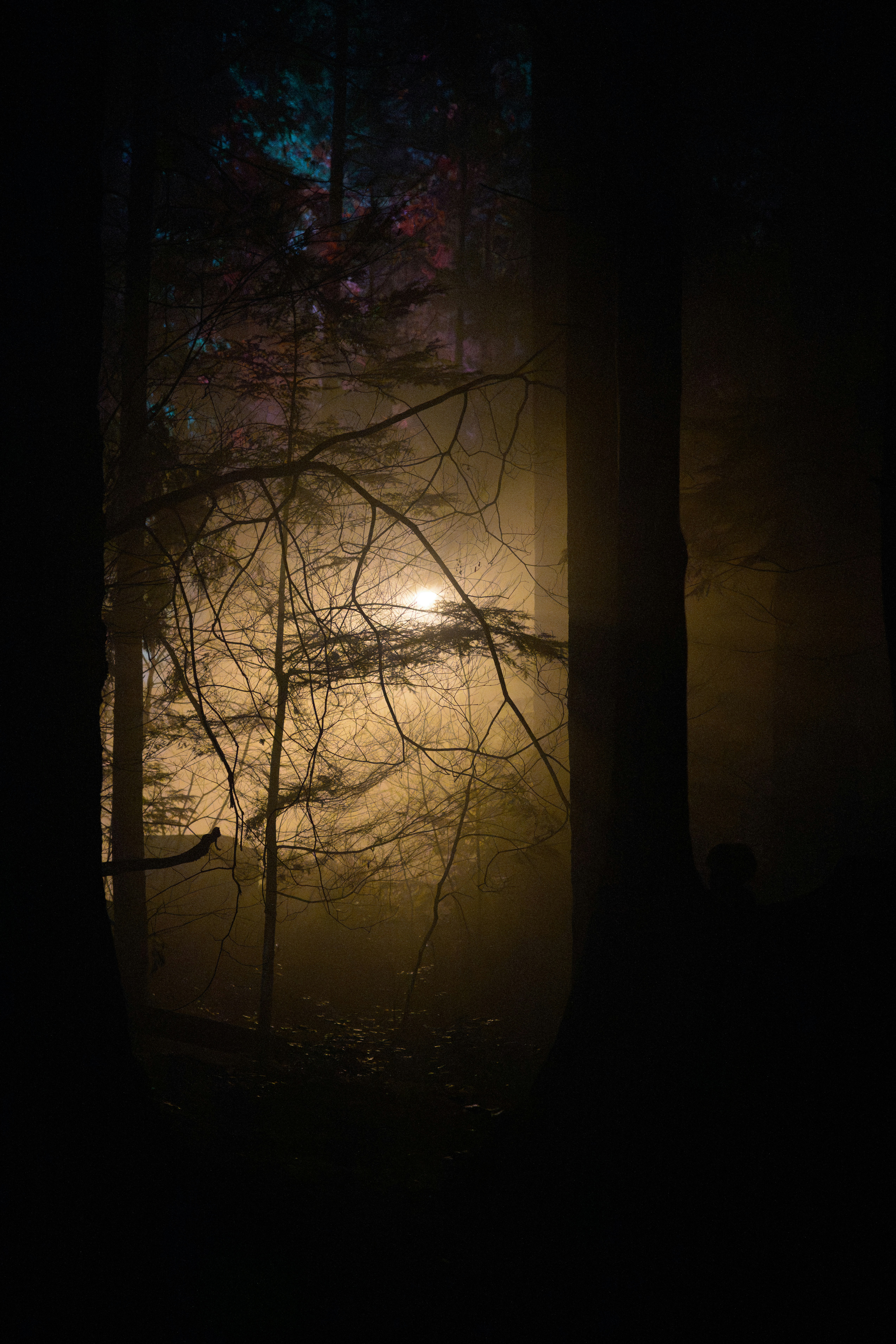 Photo by ericstoynov