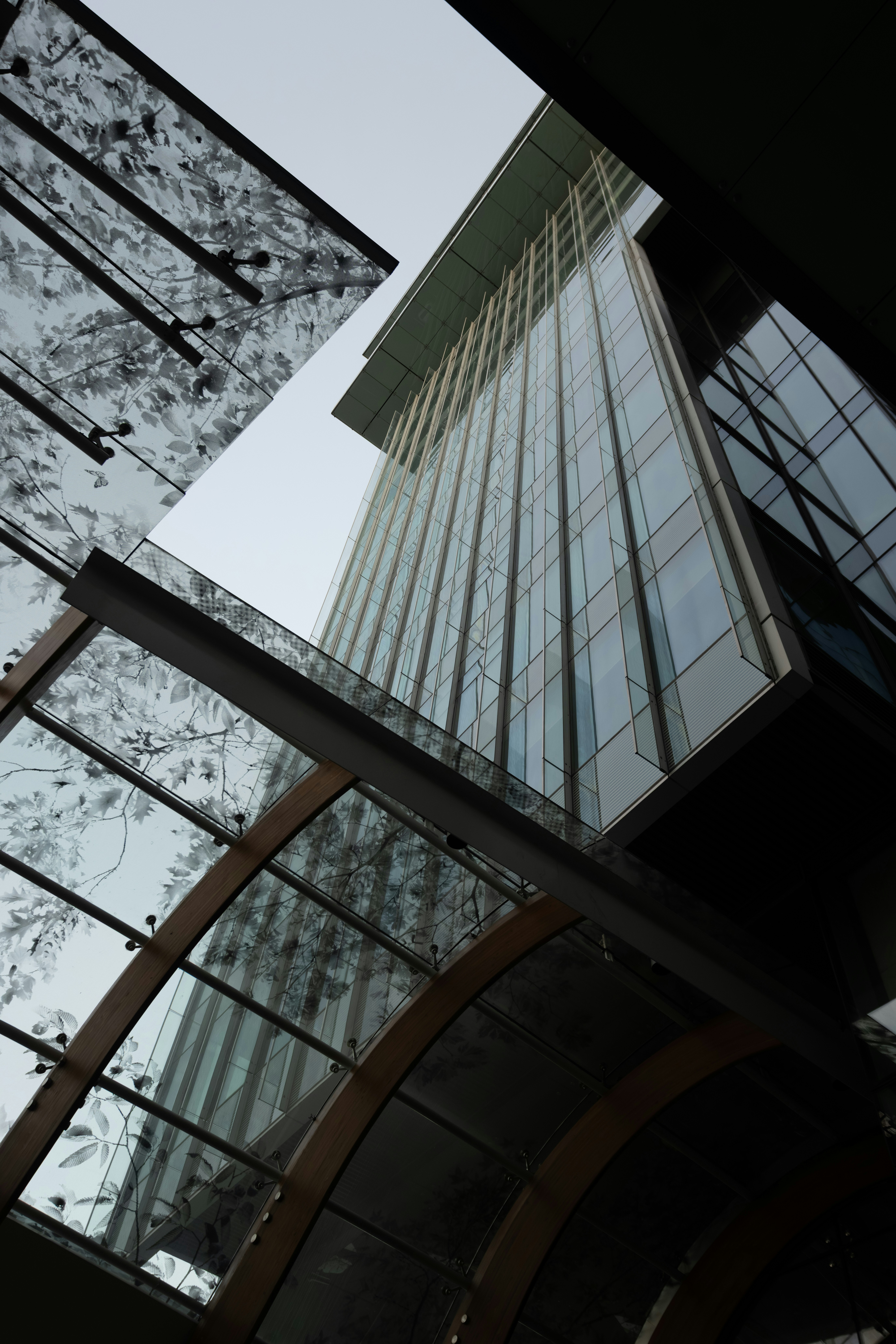 Photo by ericstoynov