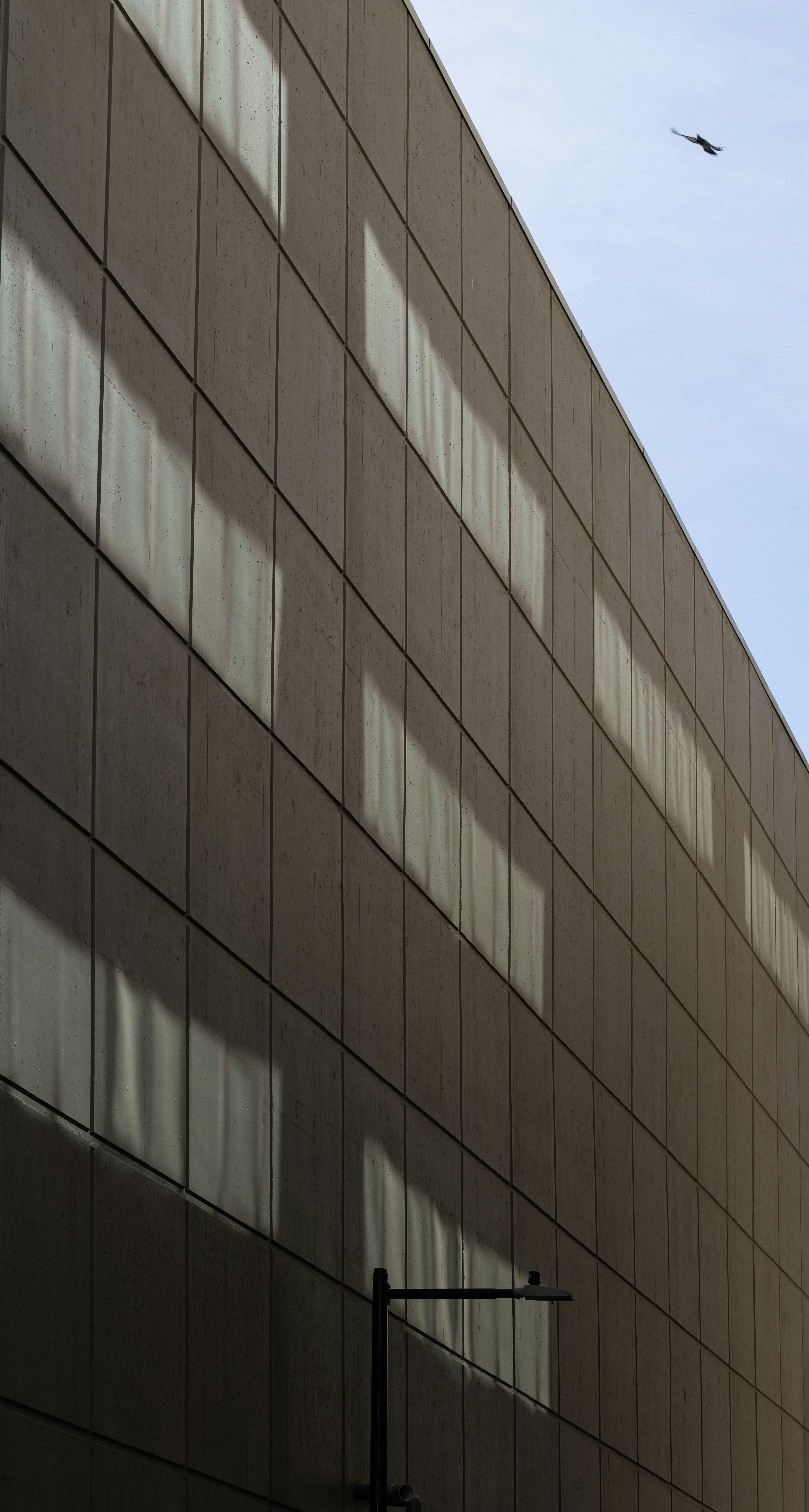 Photo by ericstoynov