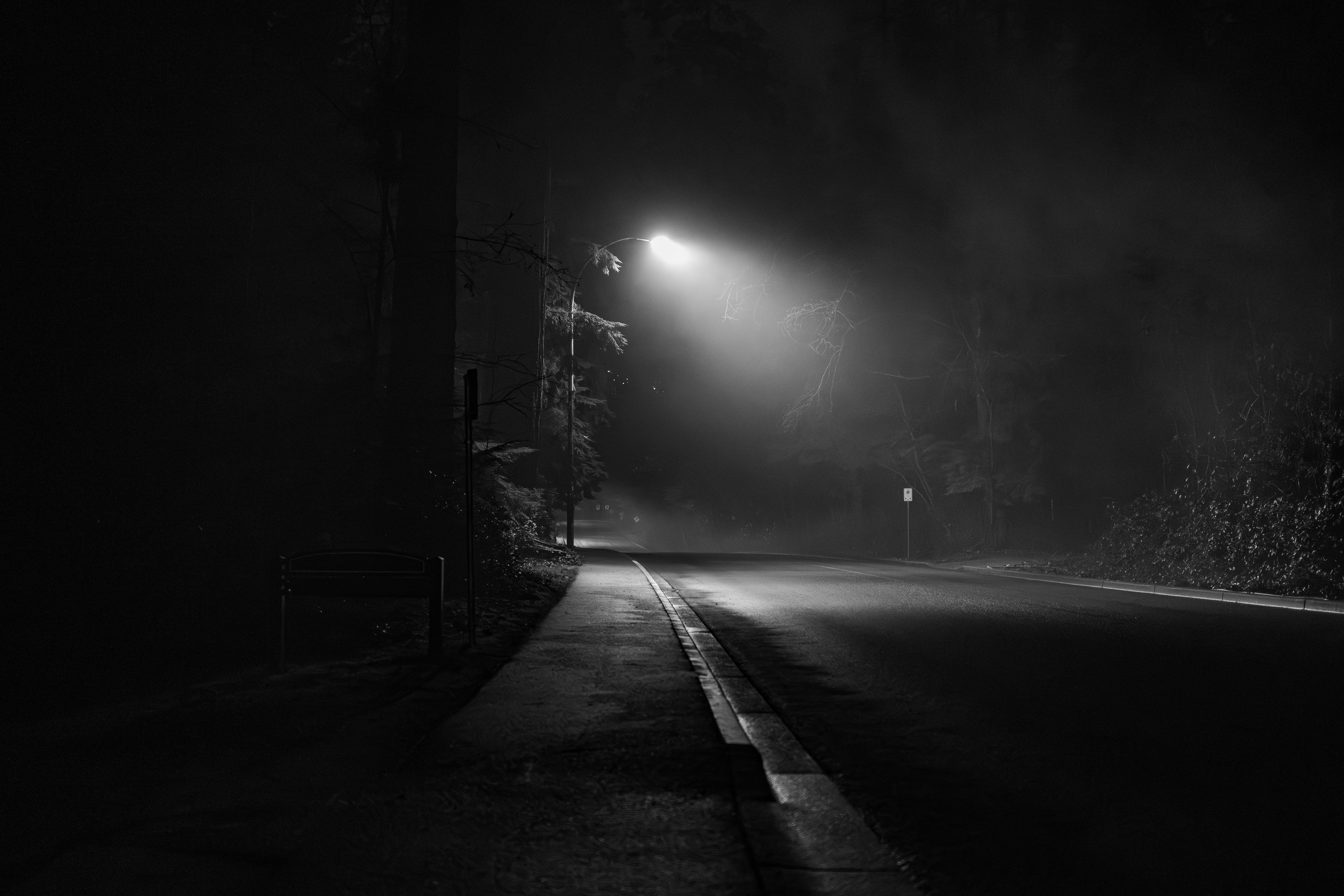 Photo by ericstoynov