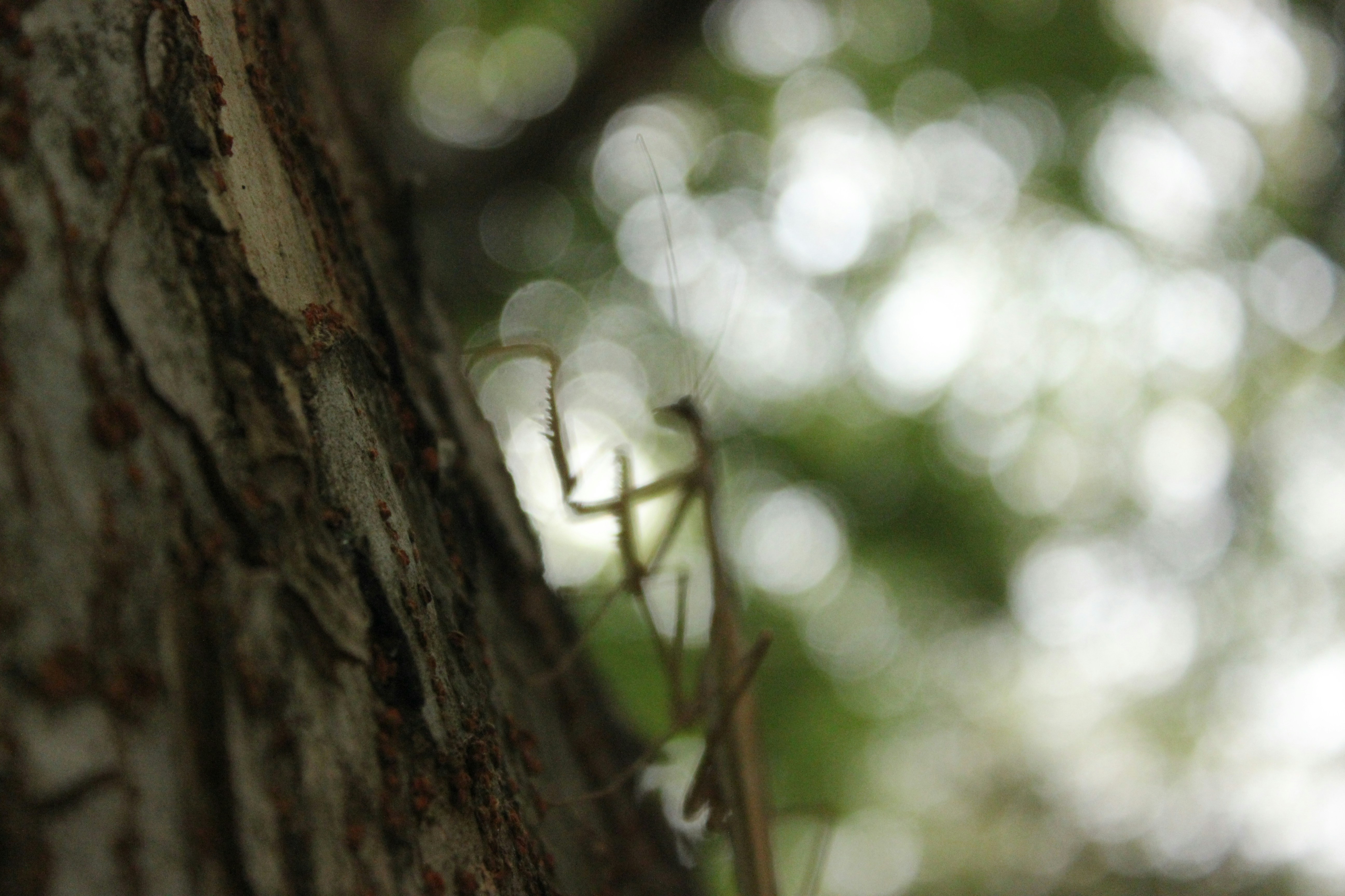Photo by zoedenney