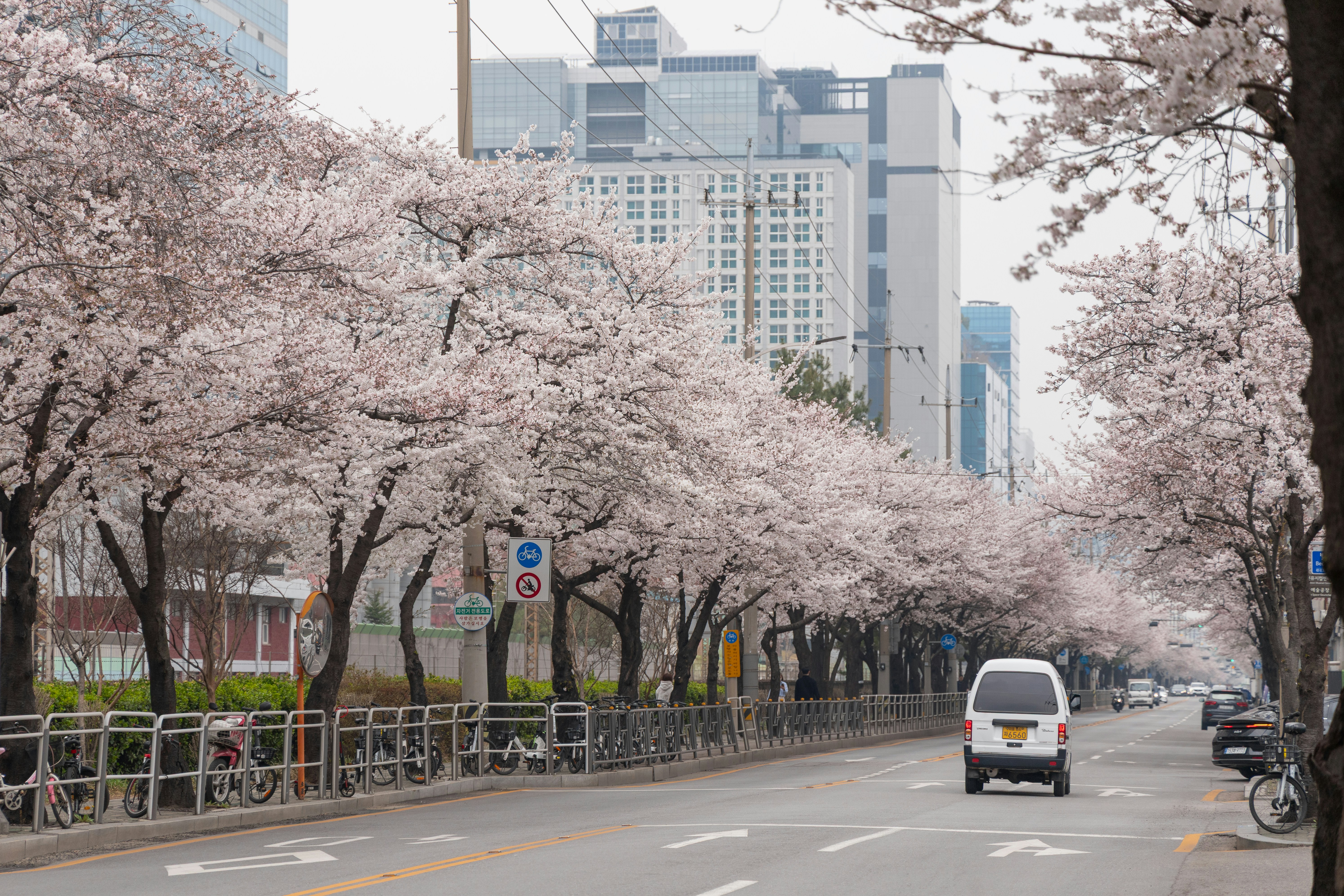 Photo by seoul_lover_lily