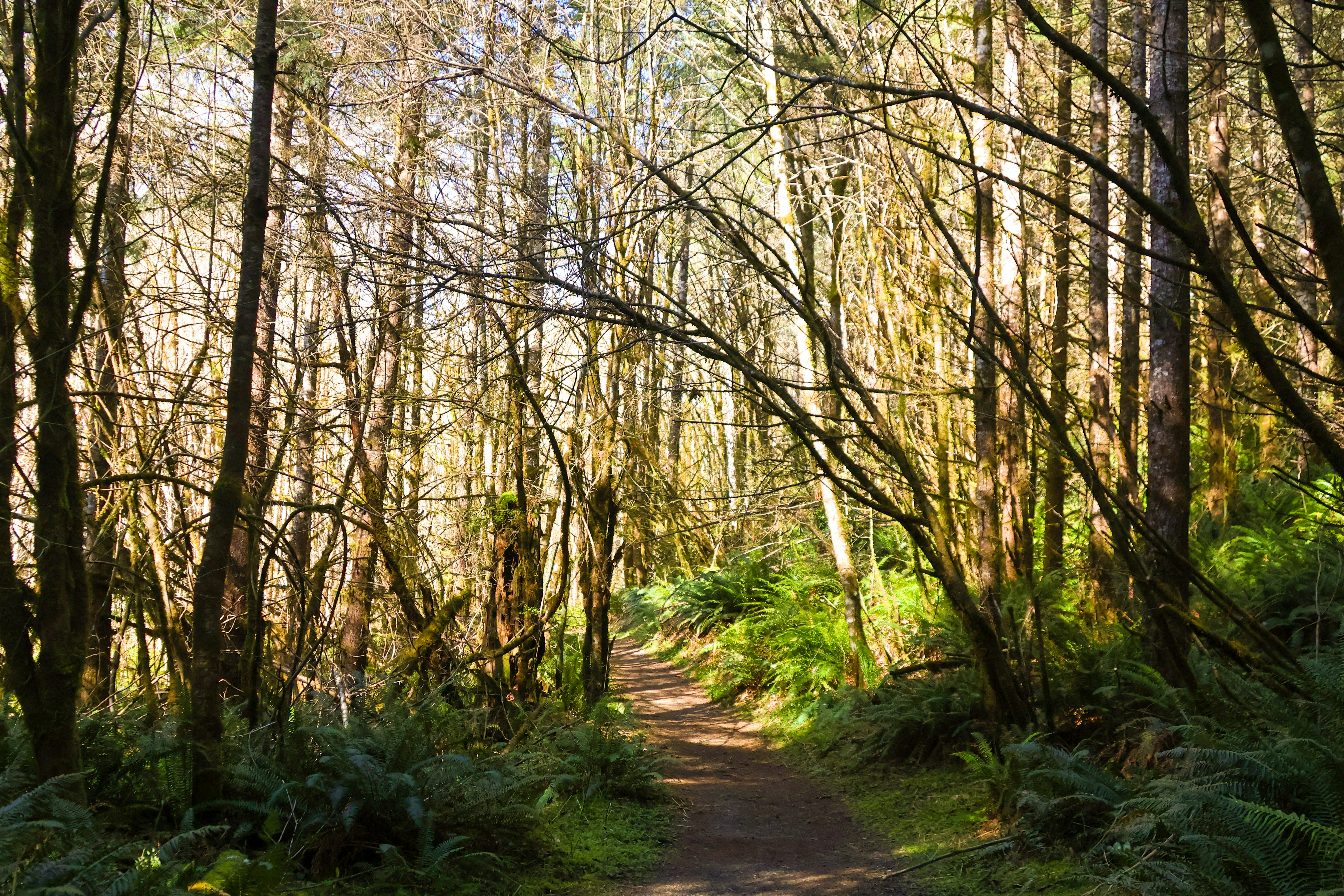 Photo by traveleroohlala