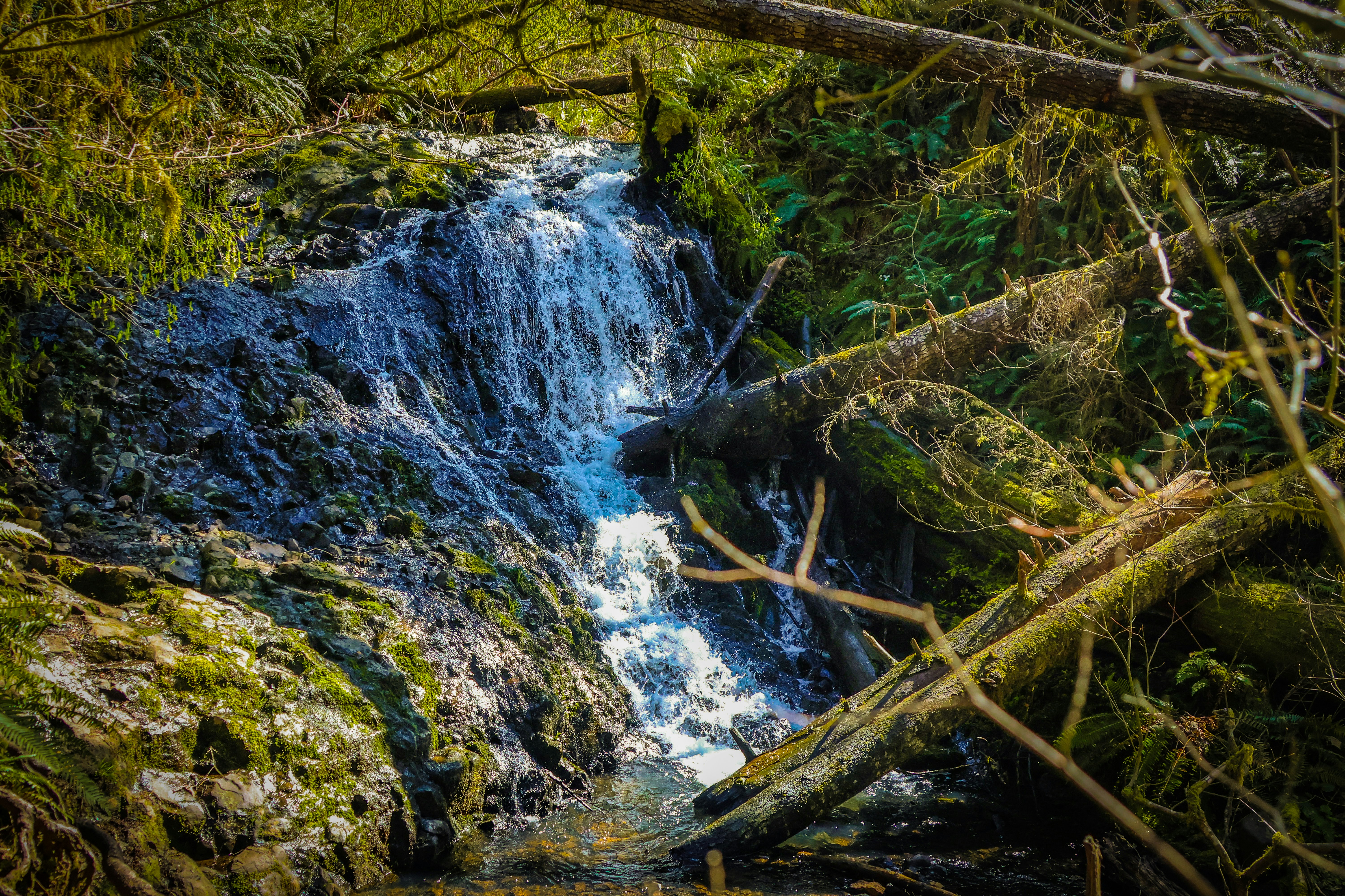 Photo by traveleroohlala