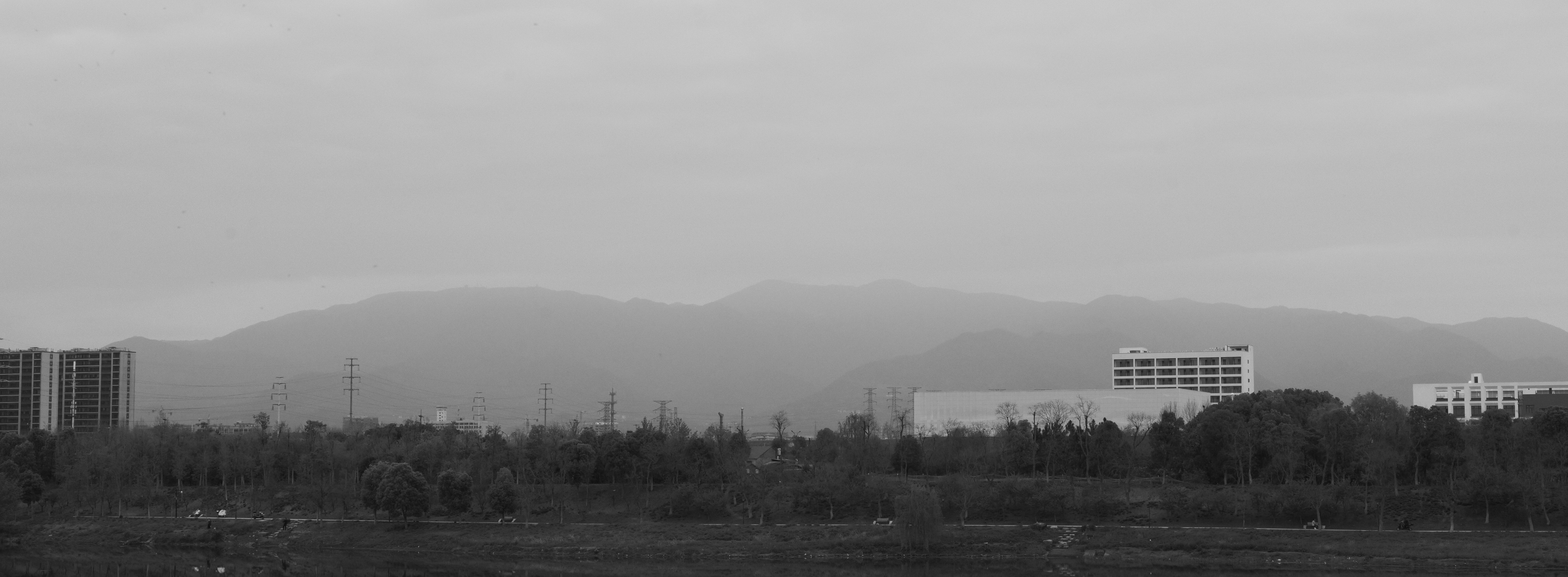 Photo by langtanghq