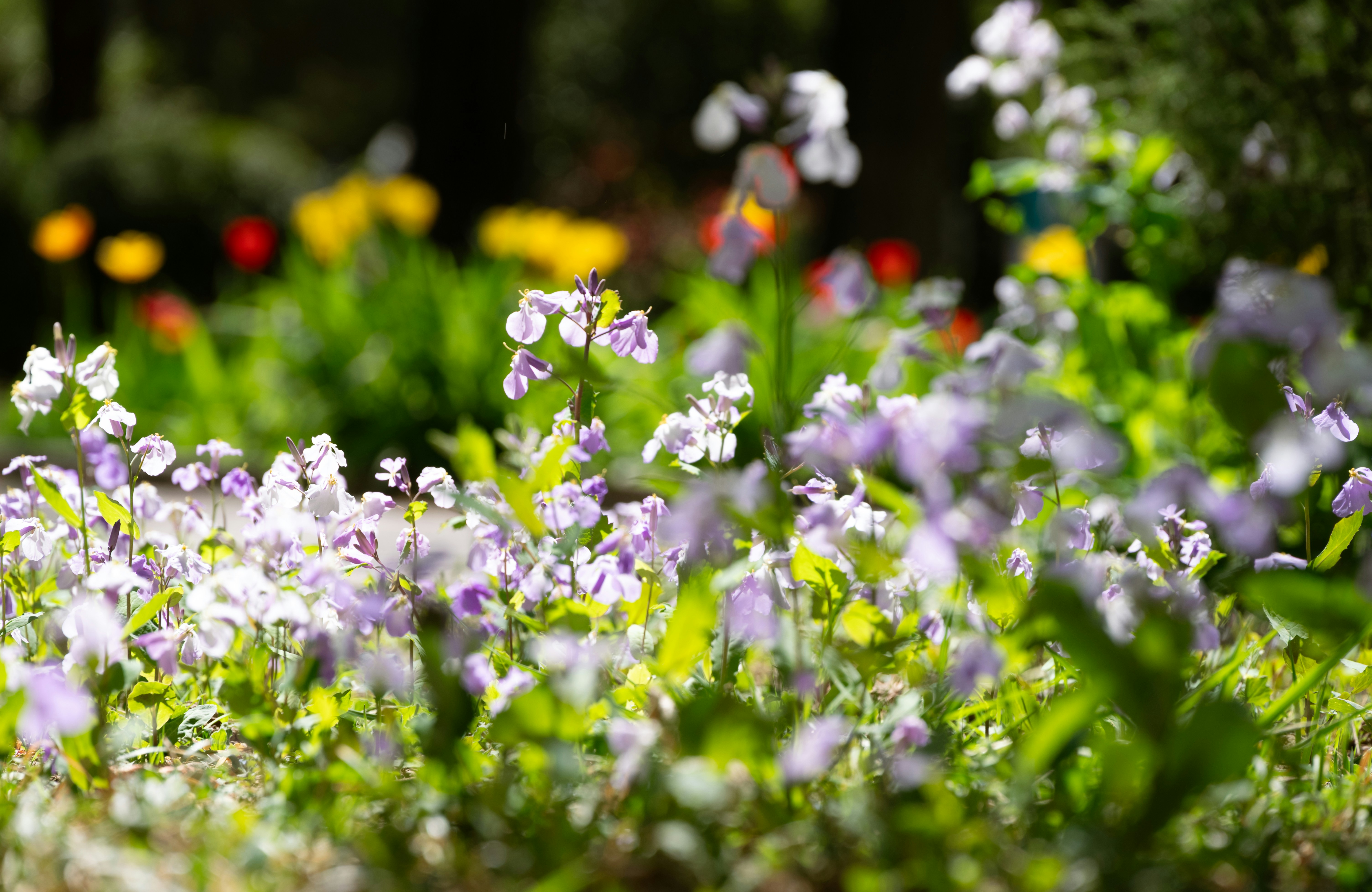 Photo by nikol_royce