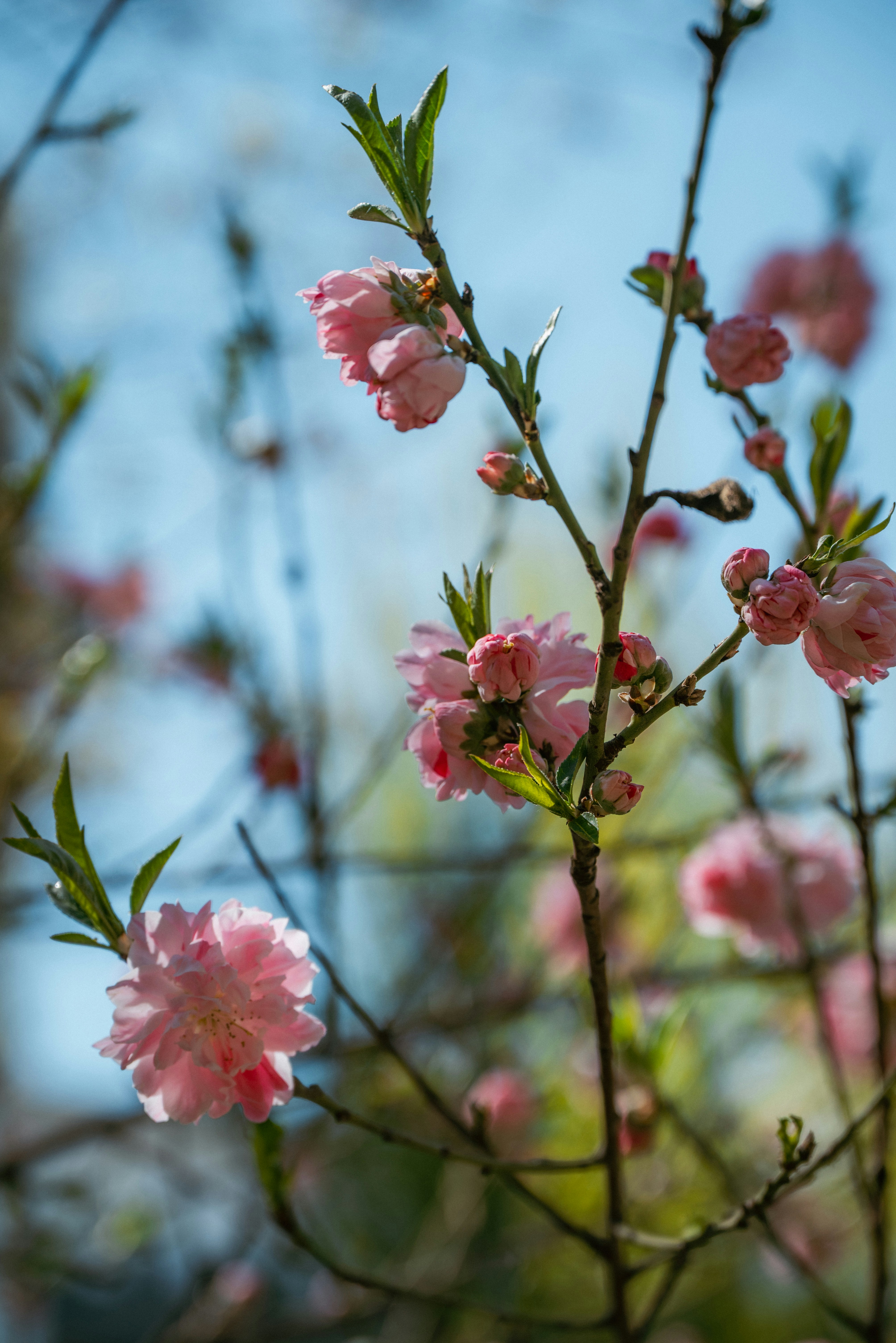 Photo by nikol_royce