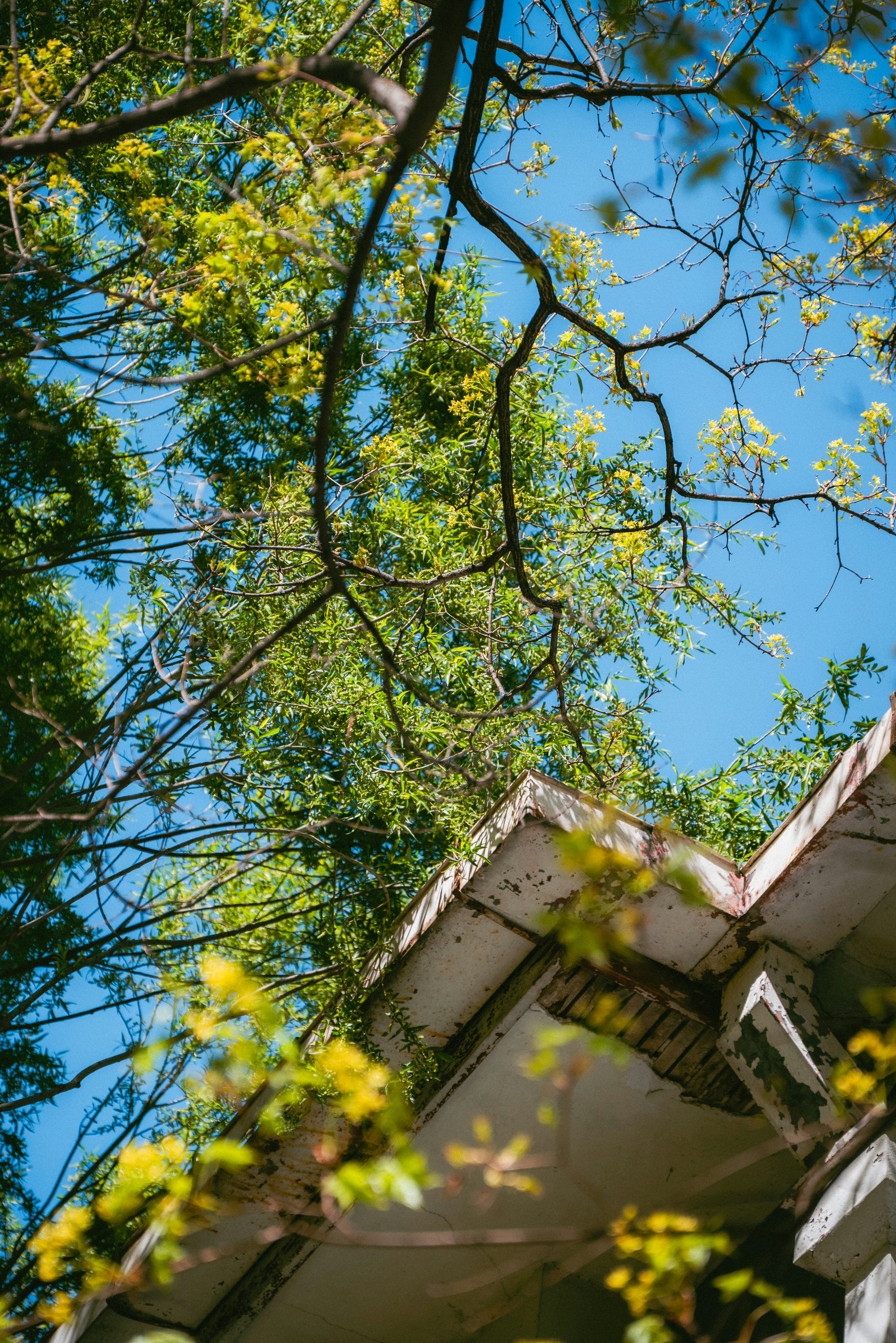 Photo by nikol_royce