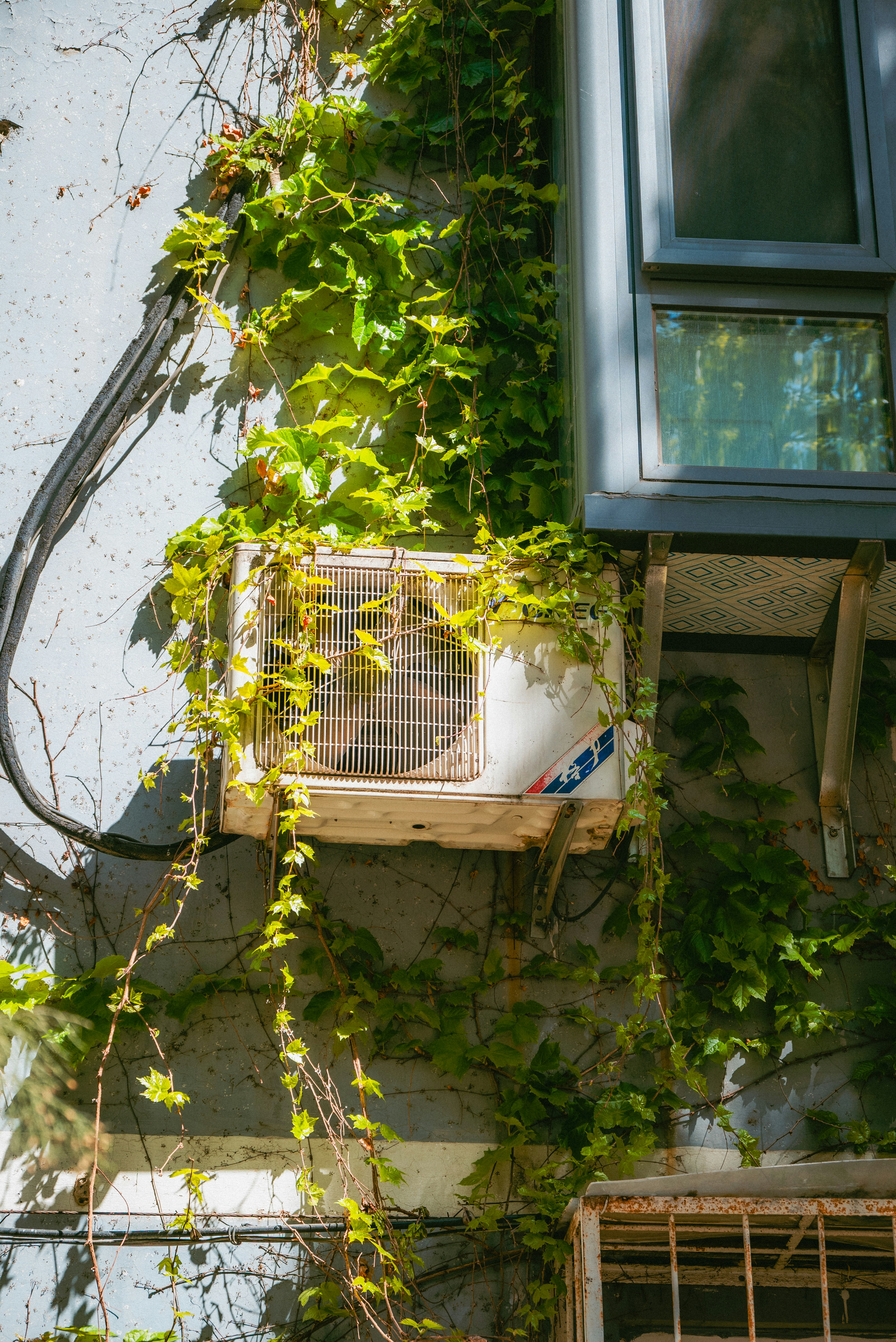 An air conditioner unit covered in green vines.