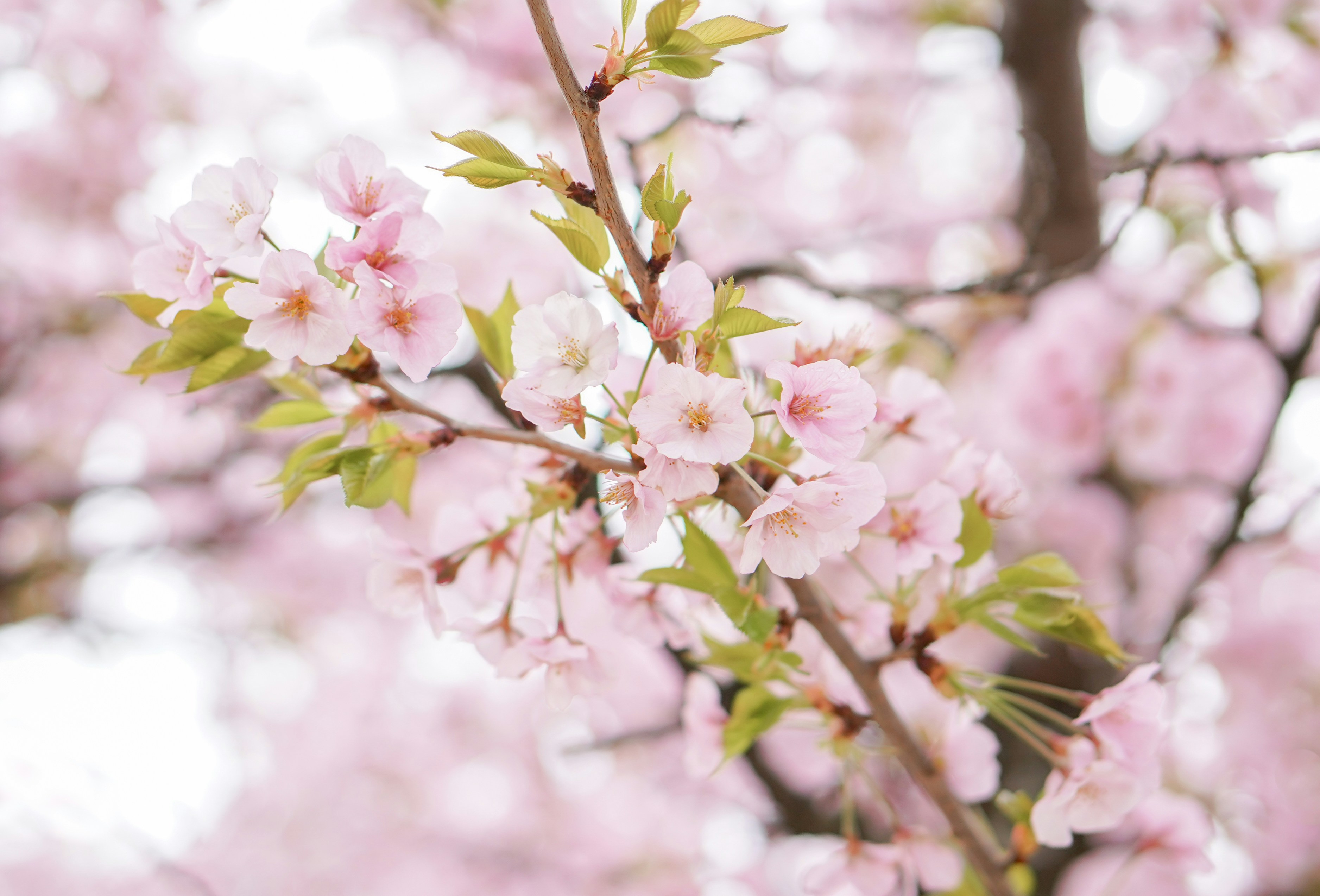 Photo by heyashleyyy