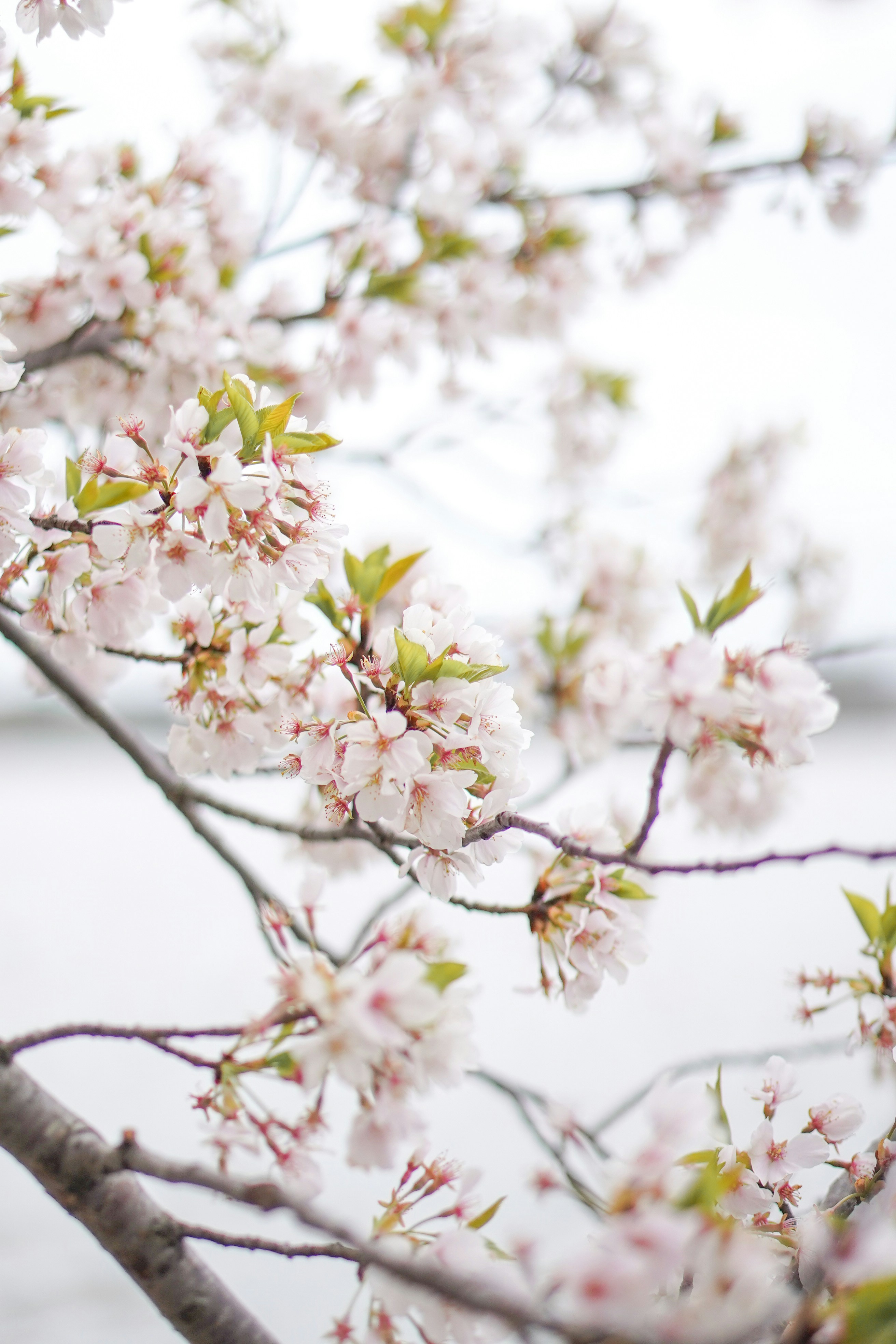 Photo by heyashleyyy